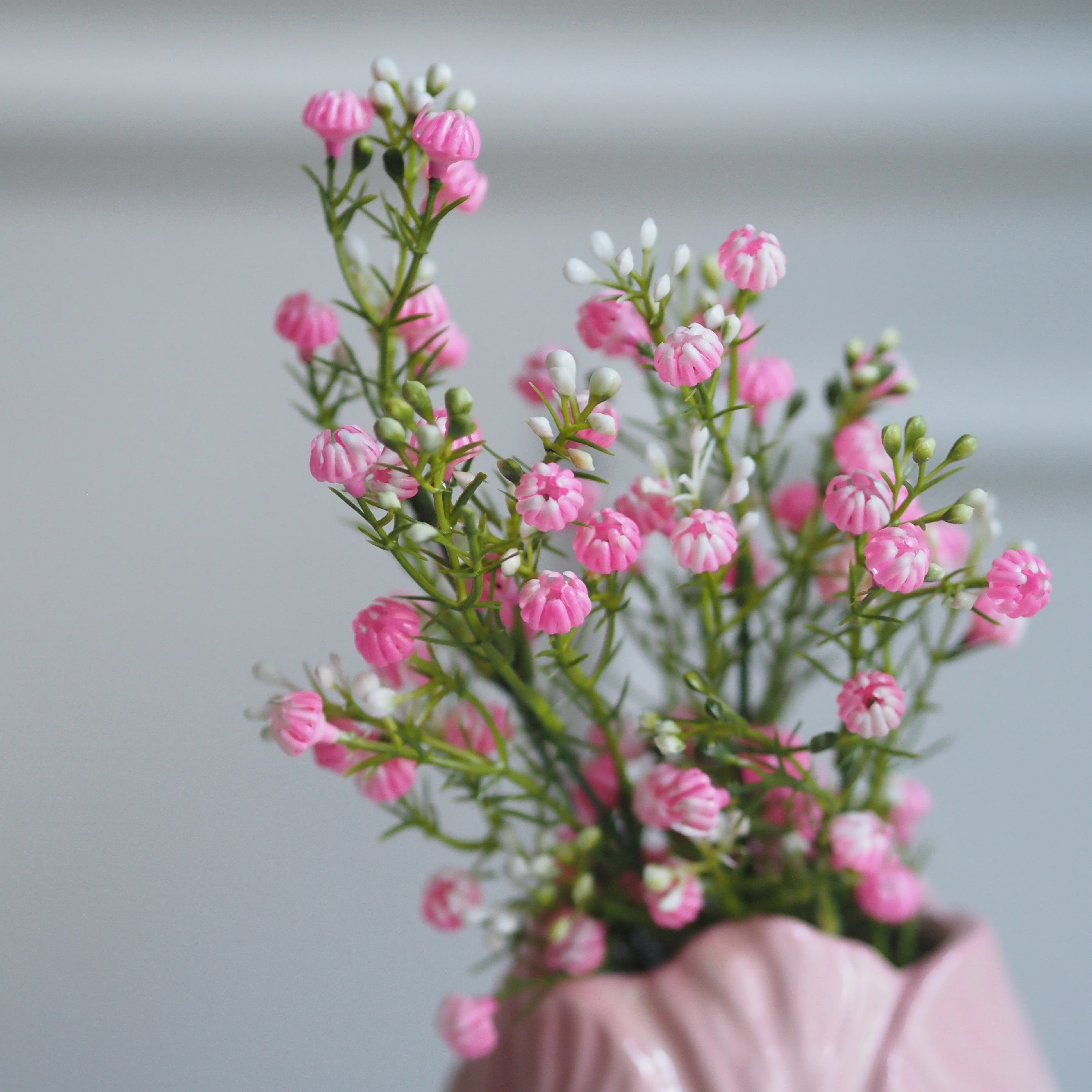Zierliche Schleierblume · Dekorativer Blütenzweig in Rosa