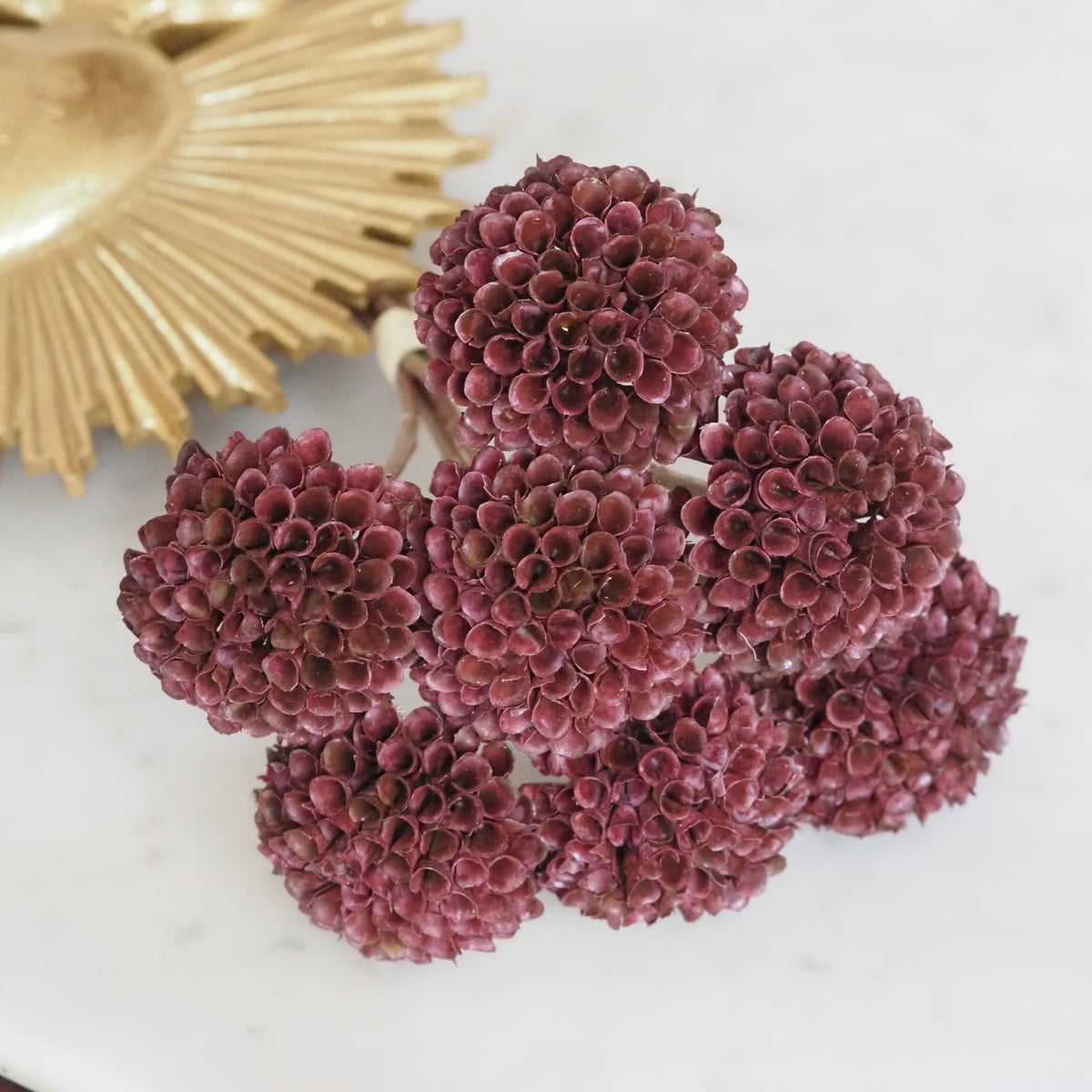 Dahlien-Bündel Burgund · Pompon-Dekoblumen, 7 Stiele