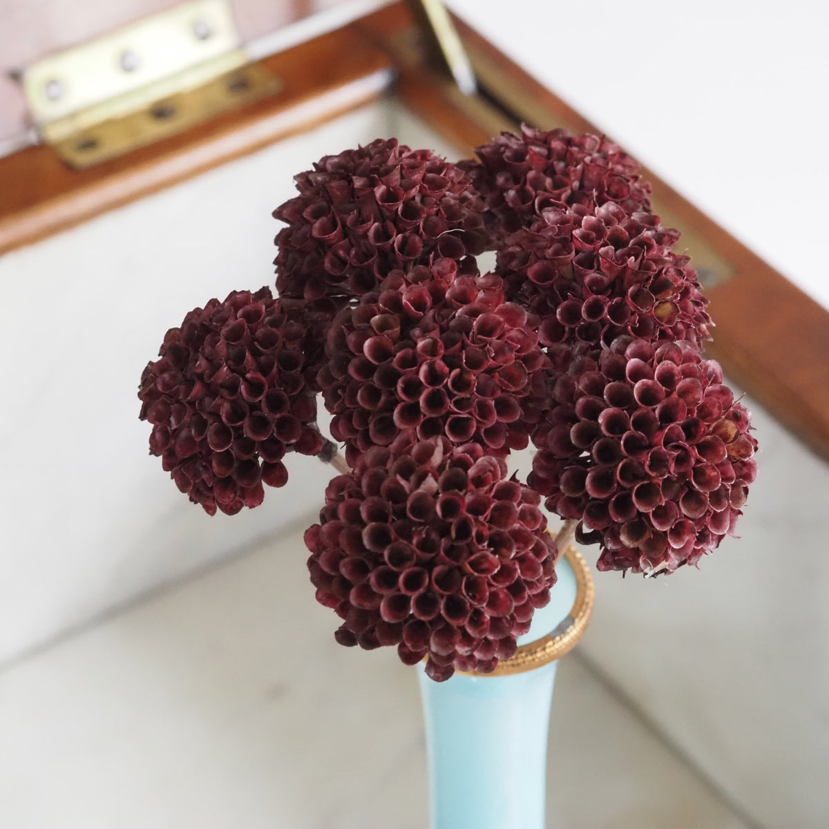Dahlien-Bündel Burgund · Pompon-Dekoblumen, 7 Stiele