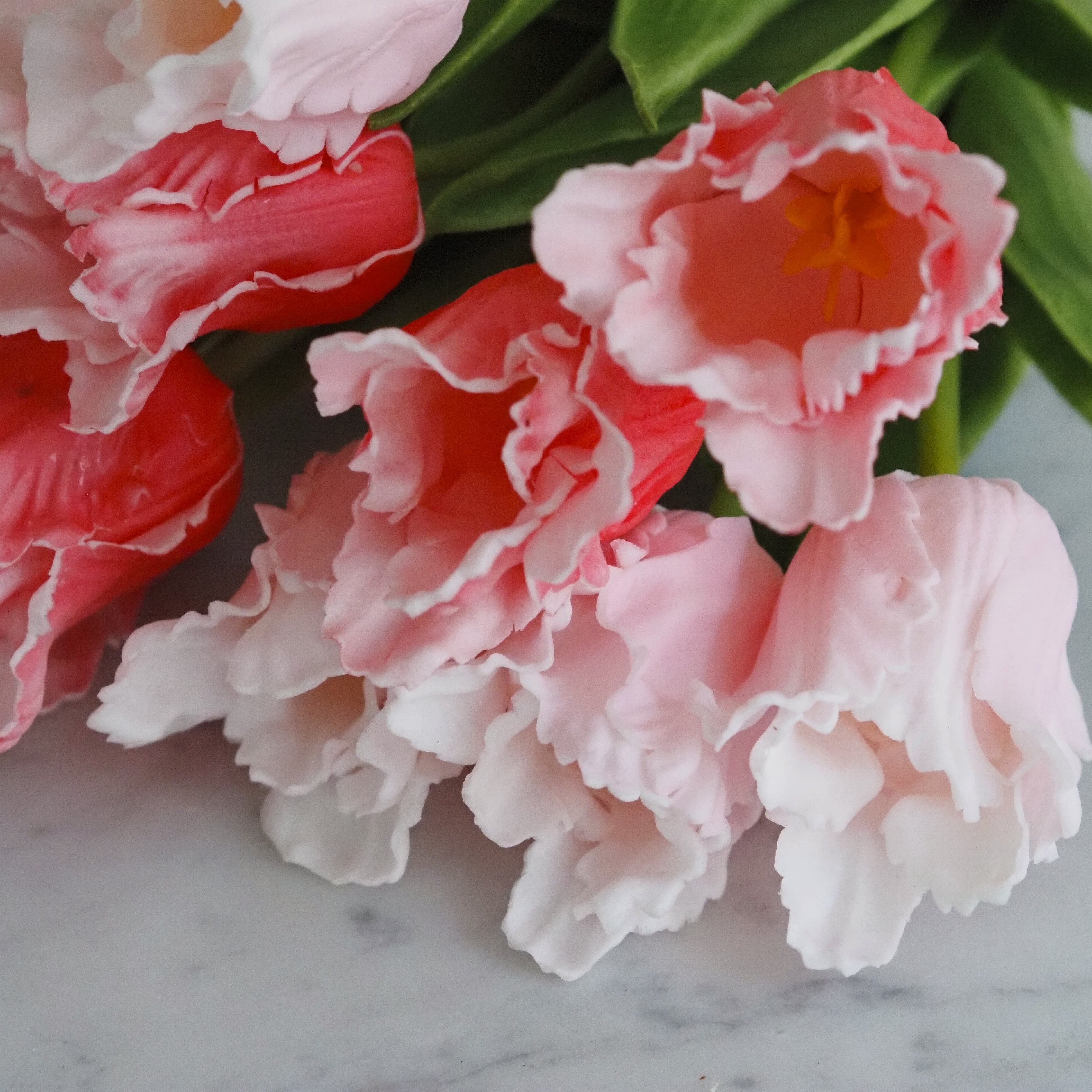 Dekorative Tulpen im Bund · florales Arrangement in rosa-weißer Ausführung