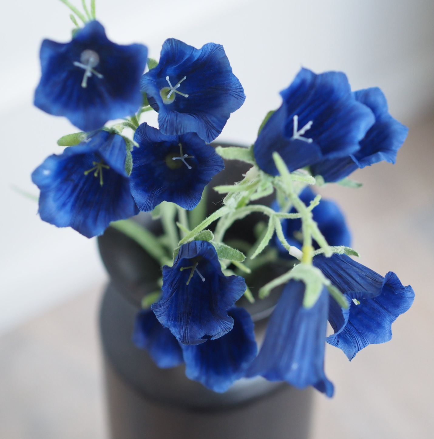 Blütenzweig Blau · sommerliche Floristikform