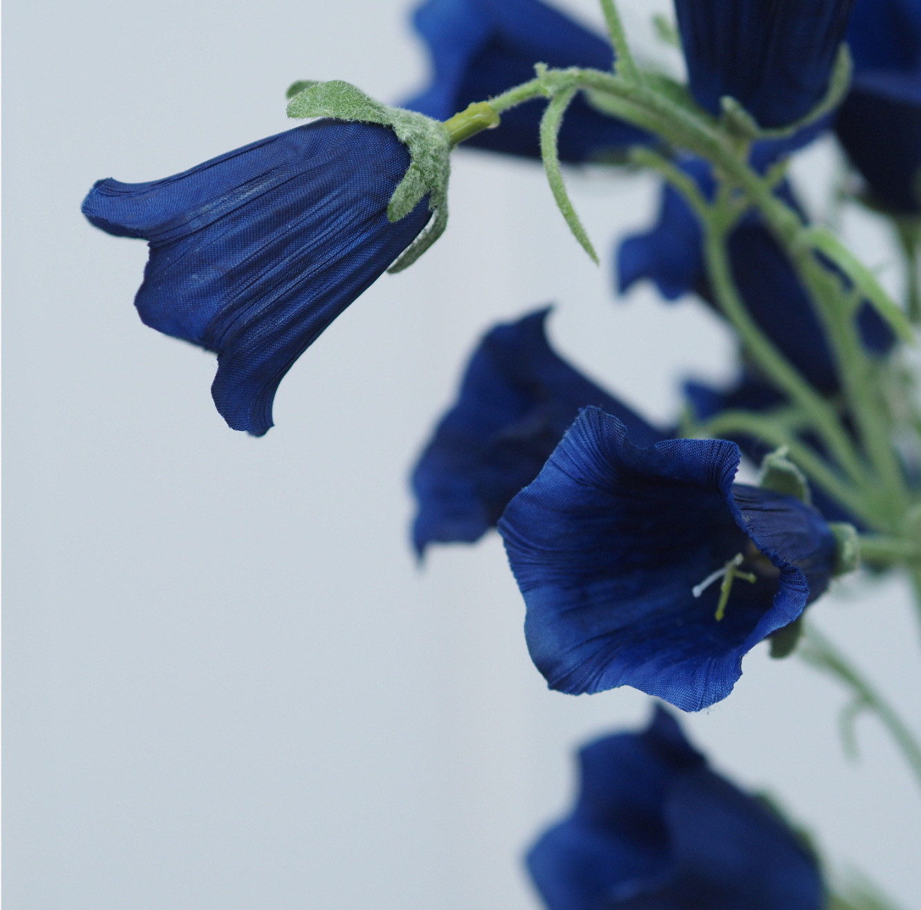 Blütenzweig Blau · sommerliche Floristikform