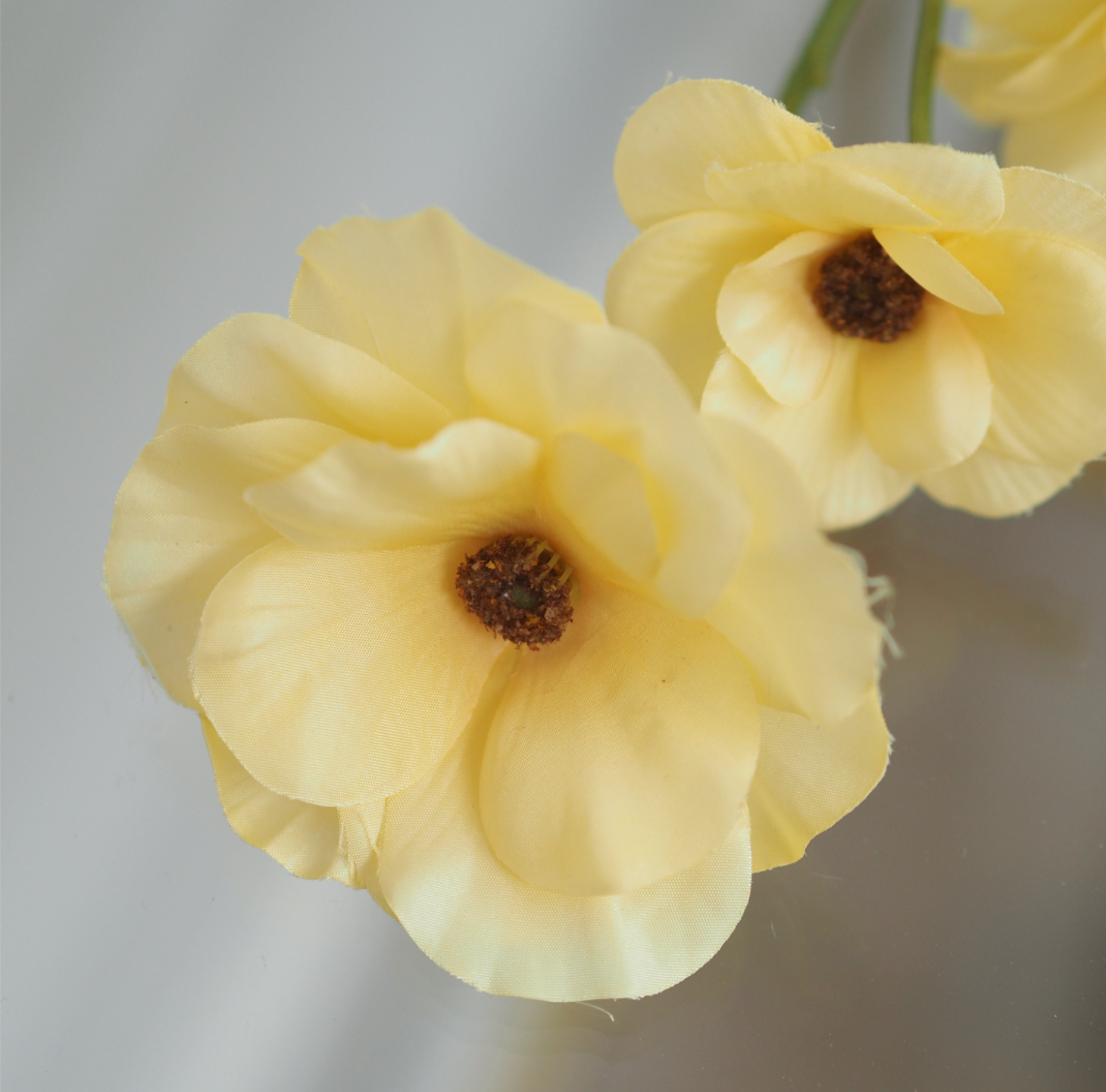 Ranunculus Blütenzweig · florale Sommerfloristik in gelber Ausführung