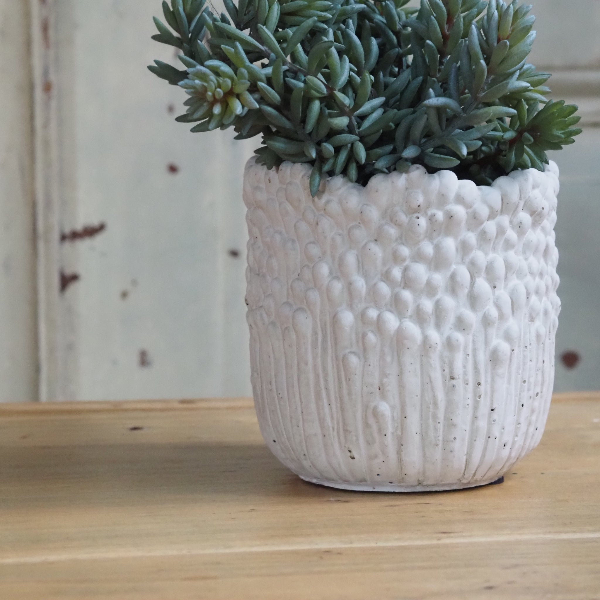 DECOR - NEW - künstlerischer Blumentopf