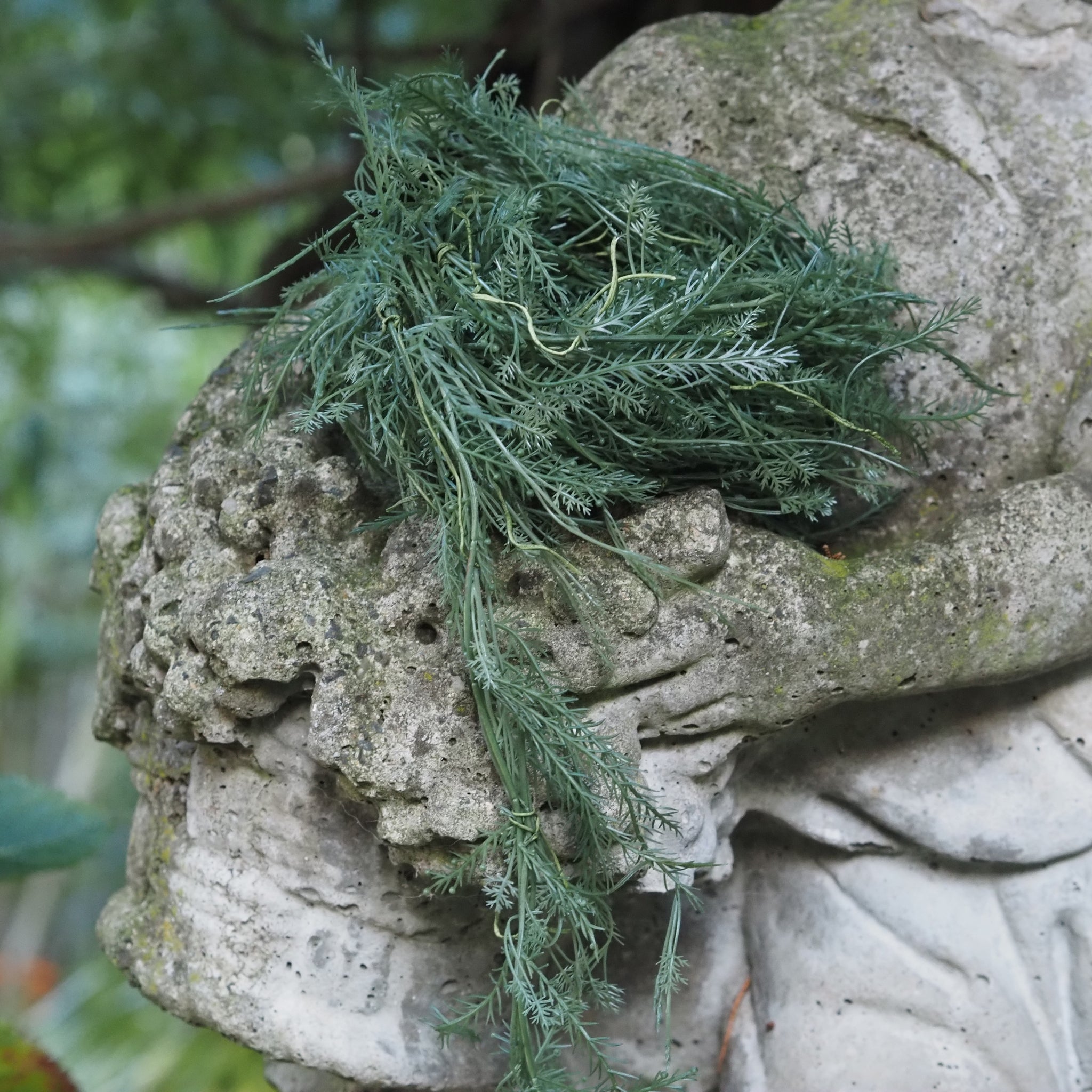 DECOR - NEW - Girlande