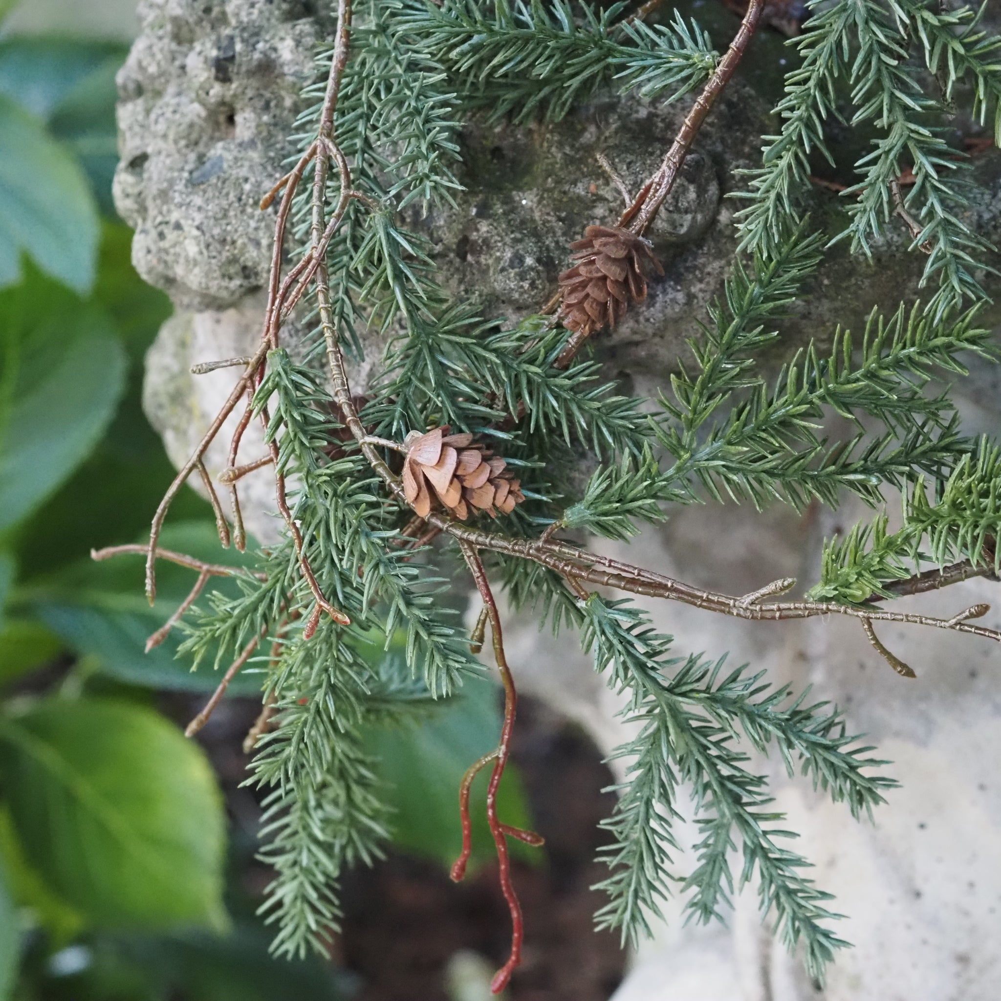 SAISON-DECOR-Kieferngirlande
