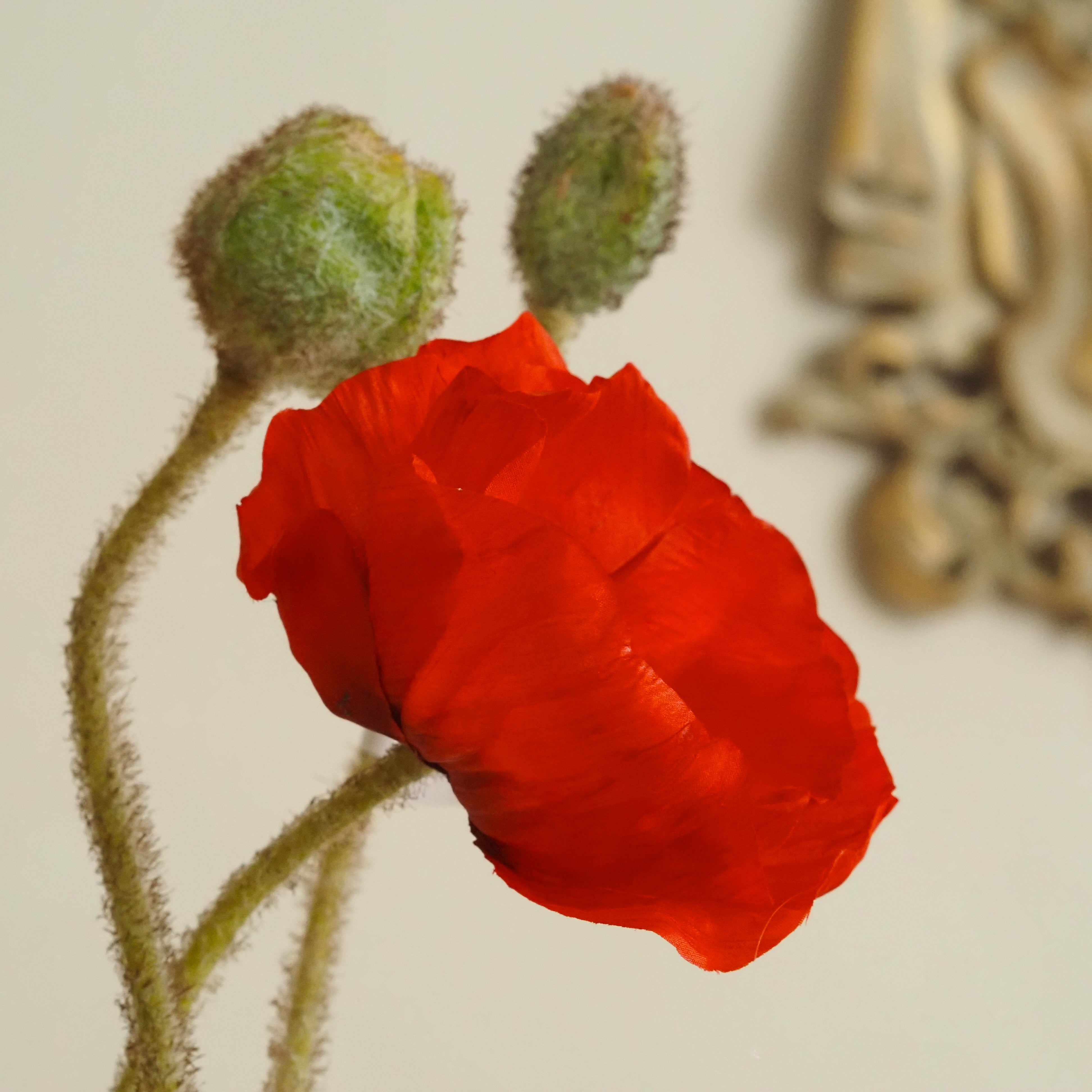 Mohnzweig Rot · Papaver mit realistischen Knospen 83 cm