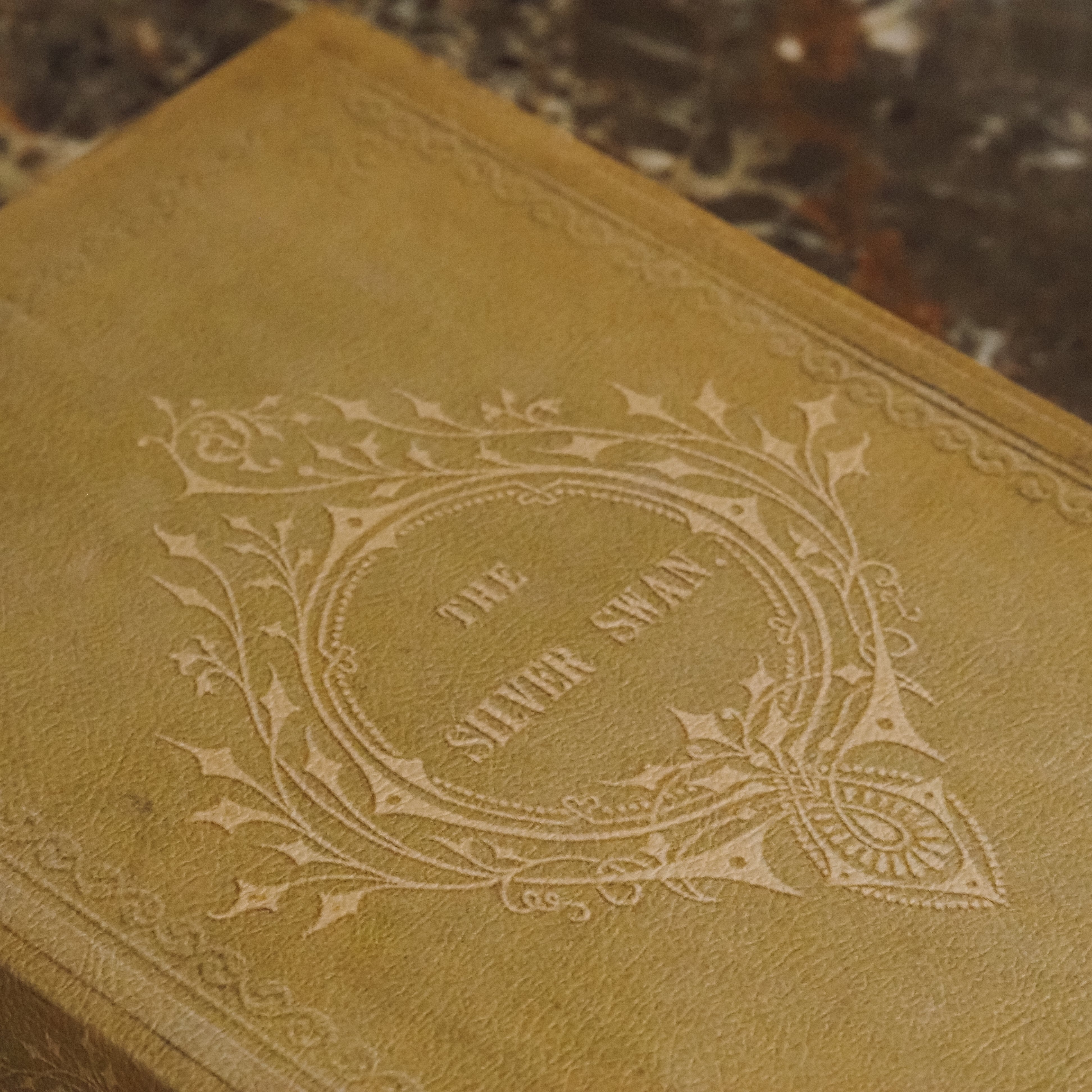 Aufbewahrungsbuch Olivbeige · Geprägte Buchbox im Stil viktorianischer Prachteinbände