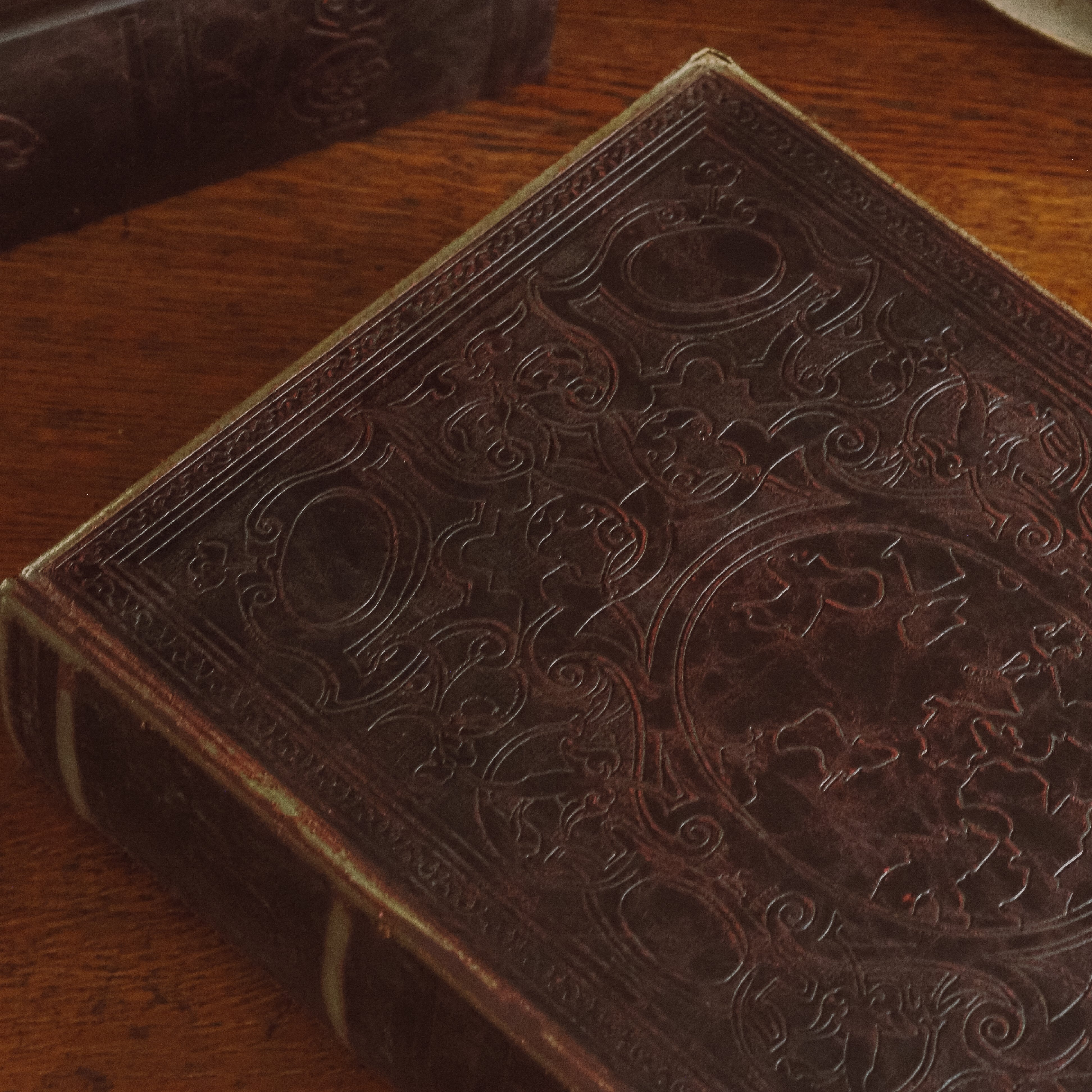 Buchbox Bordeaux · Reliefgeprägter Einband in Lederoptik, Historismus