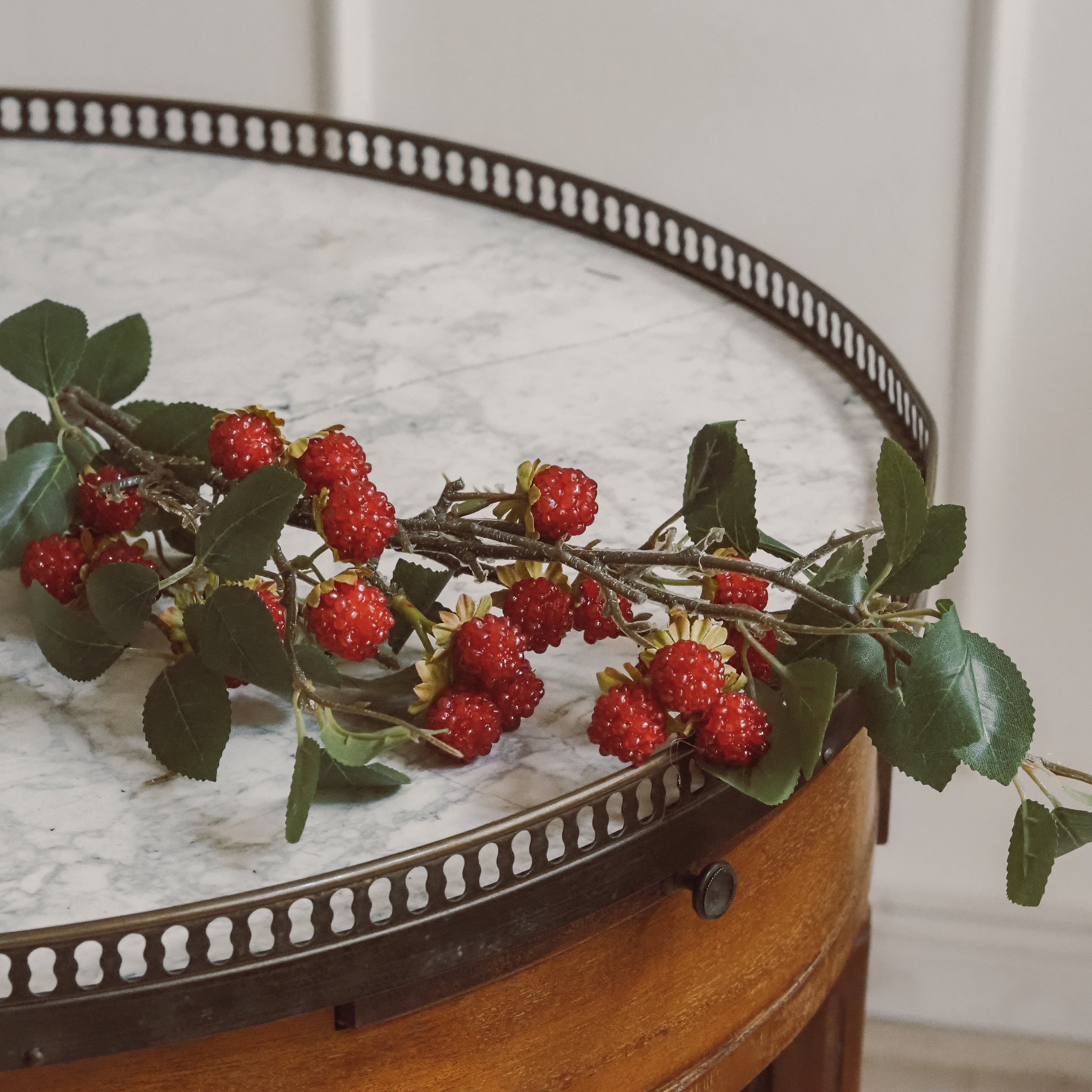 Himbeerzweig Rot · Langer Fruchtzweig mit Beeren und Laub