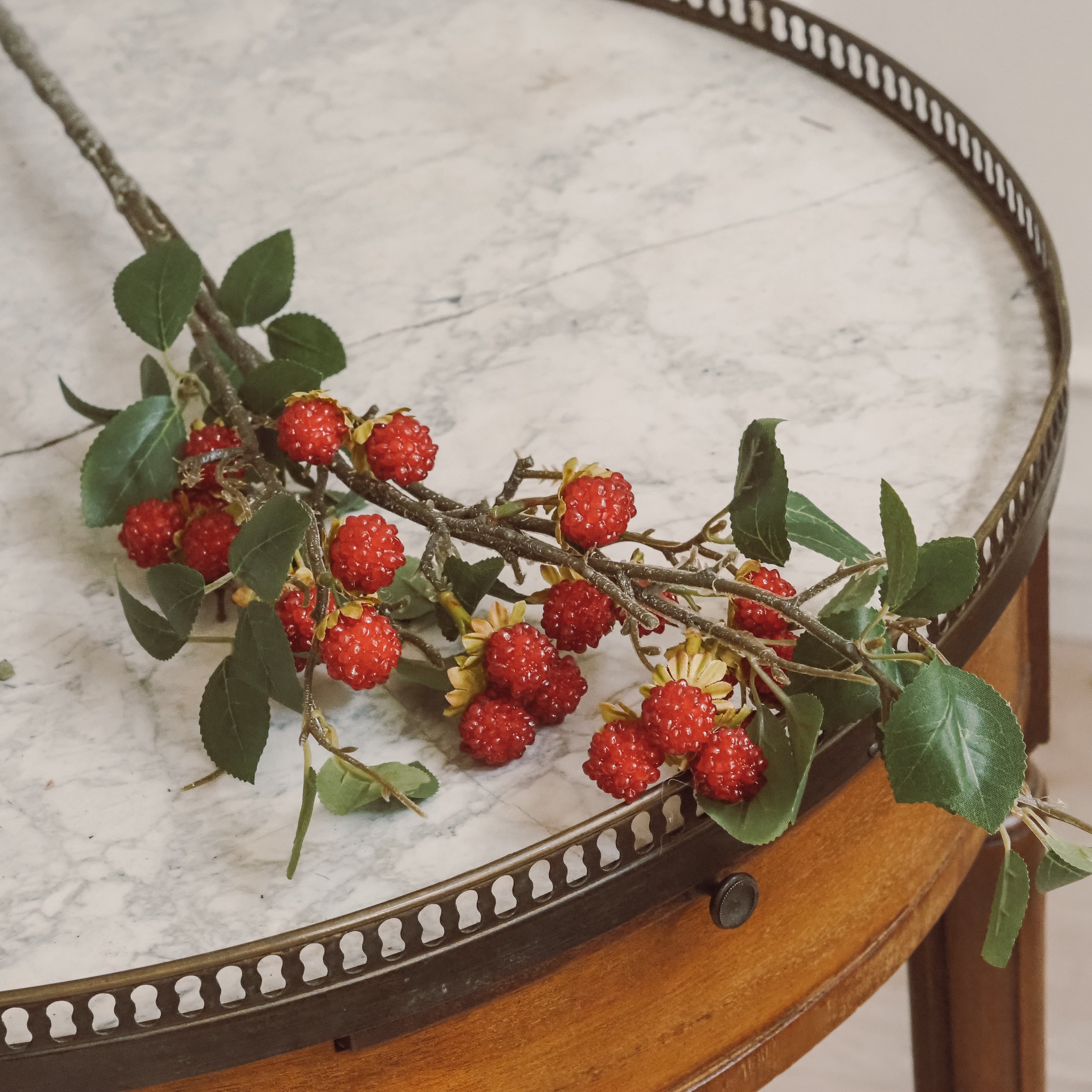 Himbeerzweig Rot · Langer Fruchtzweig mit Beeren und Laub