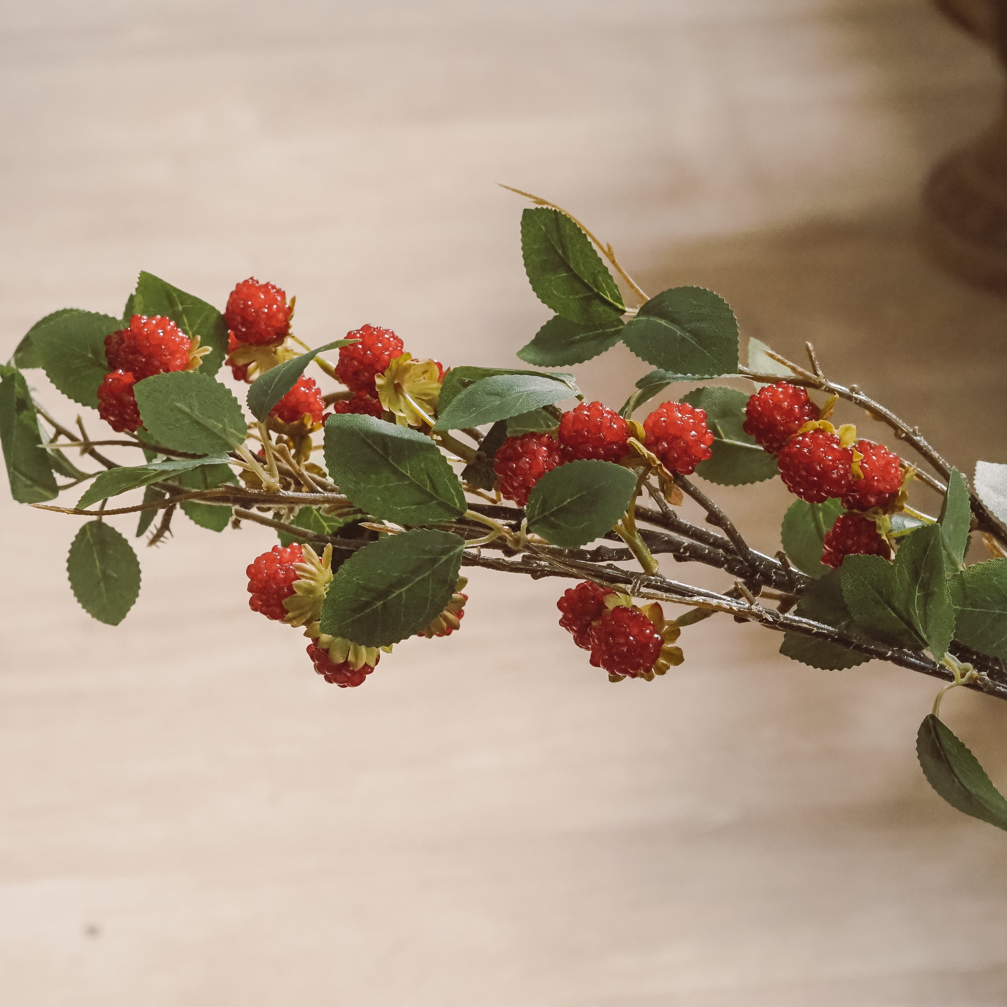 Himbeerzweig Rot · Langer Fruchtzweig mit Beeren und Laub
