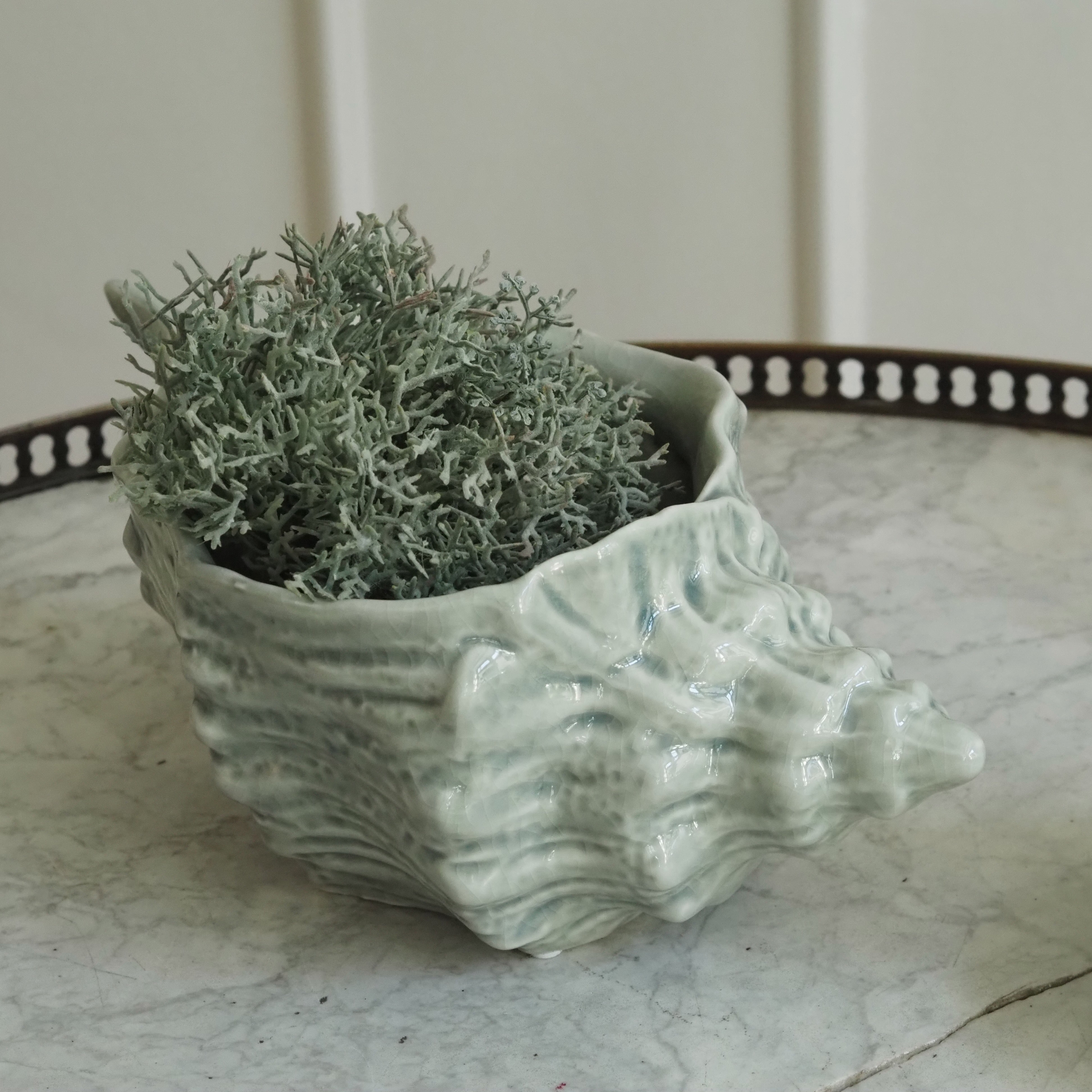Muschelkeramik Celadon · Jakobsmuschel-Schale oder Tritonshorn-Gefäß aus Steingut, weiß-oliv