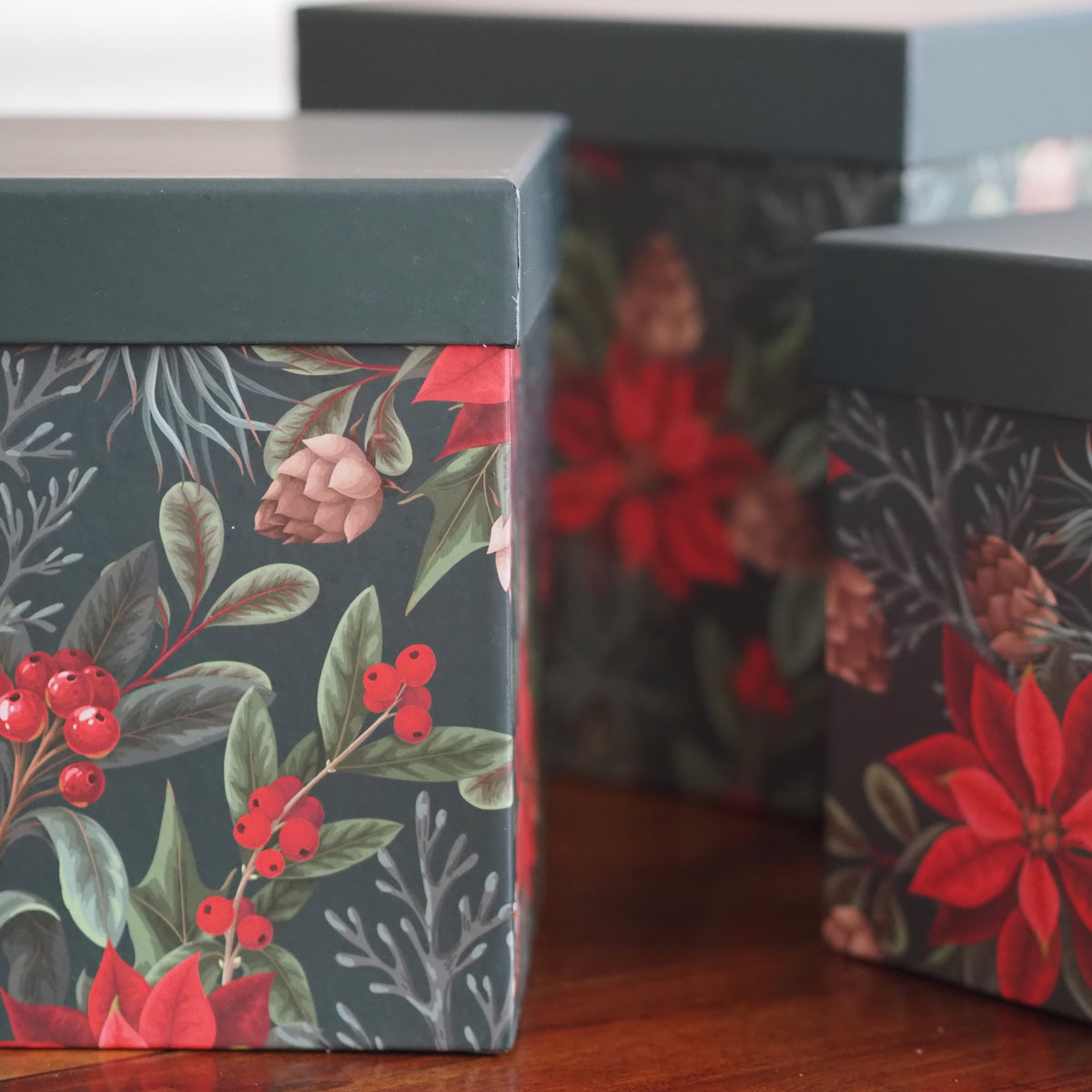 Aufbewahrungsbox 3er-Set · Weihnachtsstern-Dekor Dunkelgrün