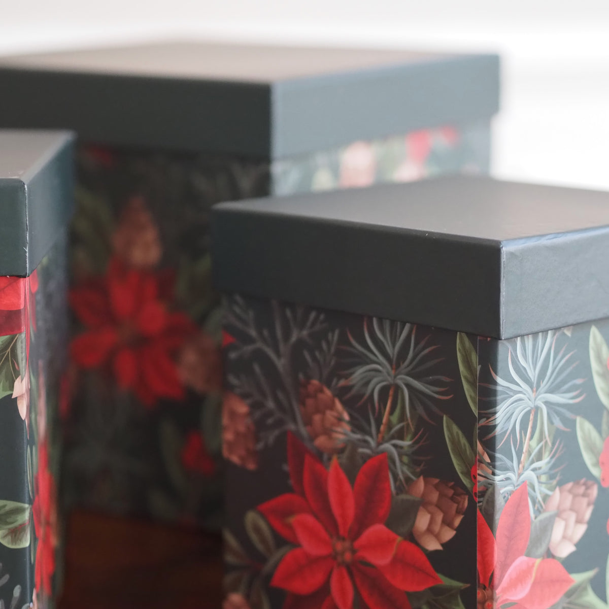 Aufbewahrungsbox 3er-Set · Weihnachtsstern-Dekor Dunkelgrün