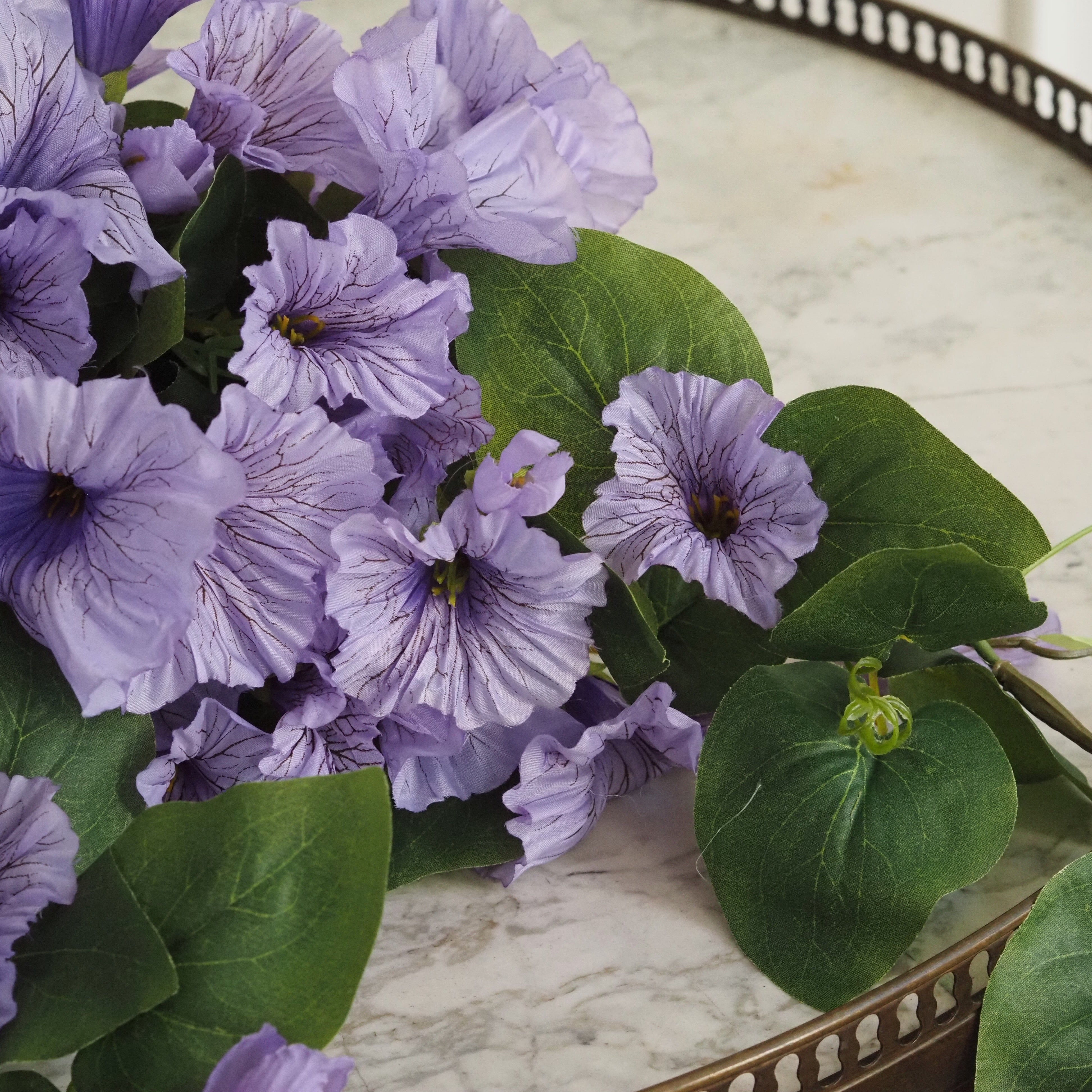 Hängepflanze Petunie · florales Dekorobjekt in Violett