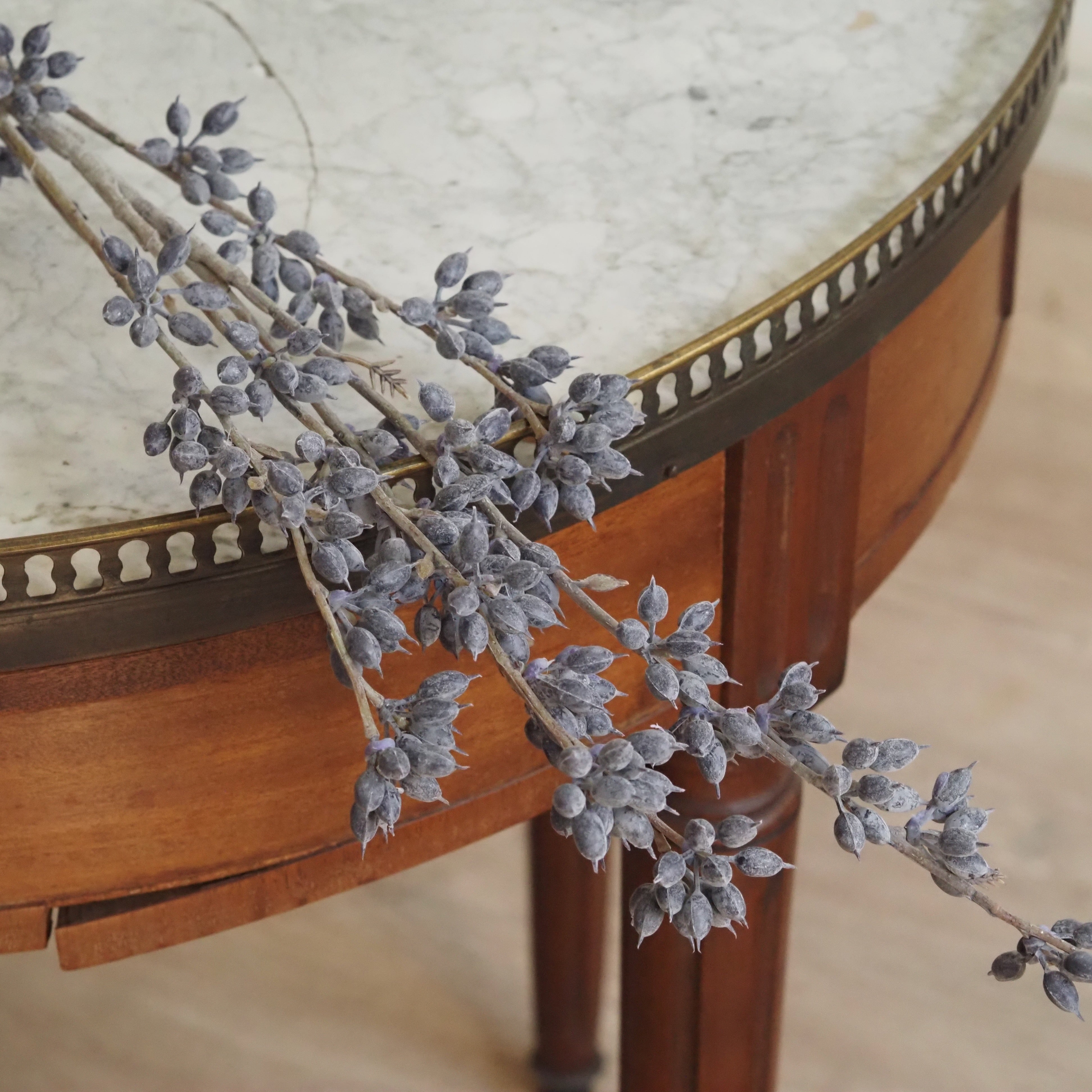 Eukalyptuszweig Graublau · Beerenzweig mit bereifter Oberfläche, 88 cm
