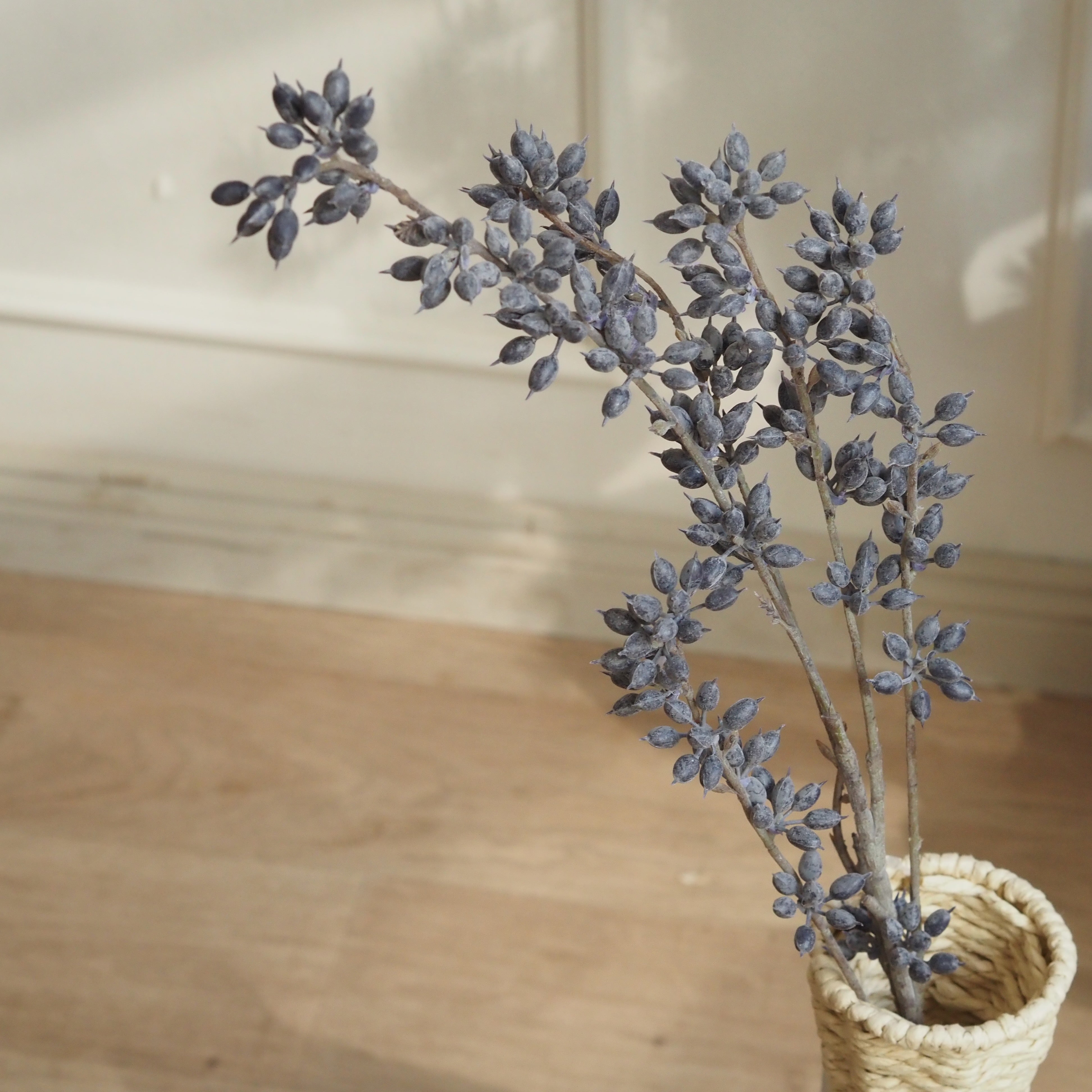 Eukalyptuszweig Graublau · Beerenzweig mit bereifter Oberfläche, 88 cm