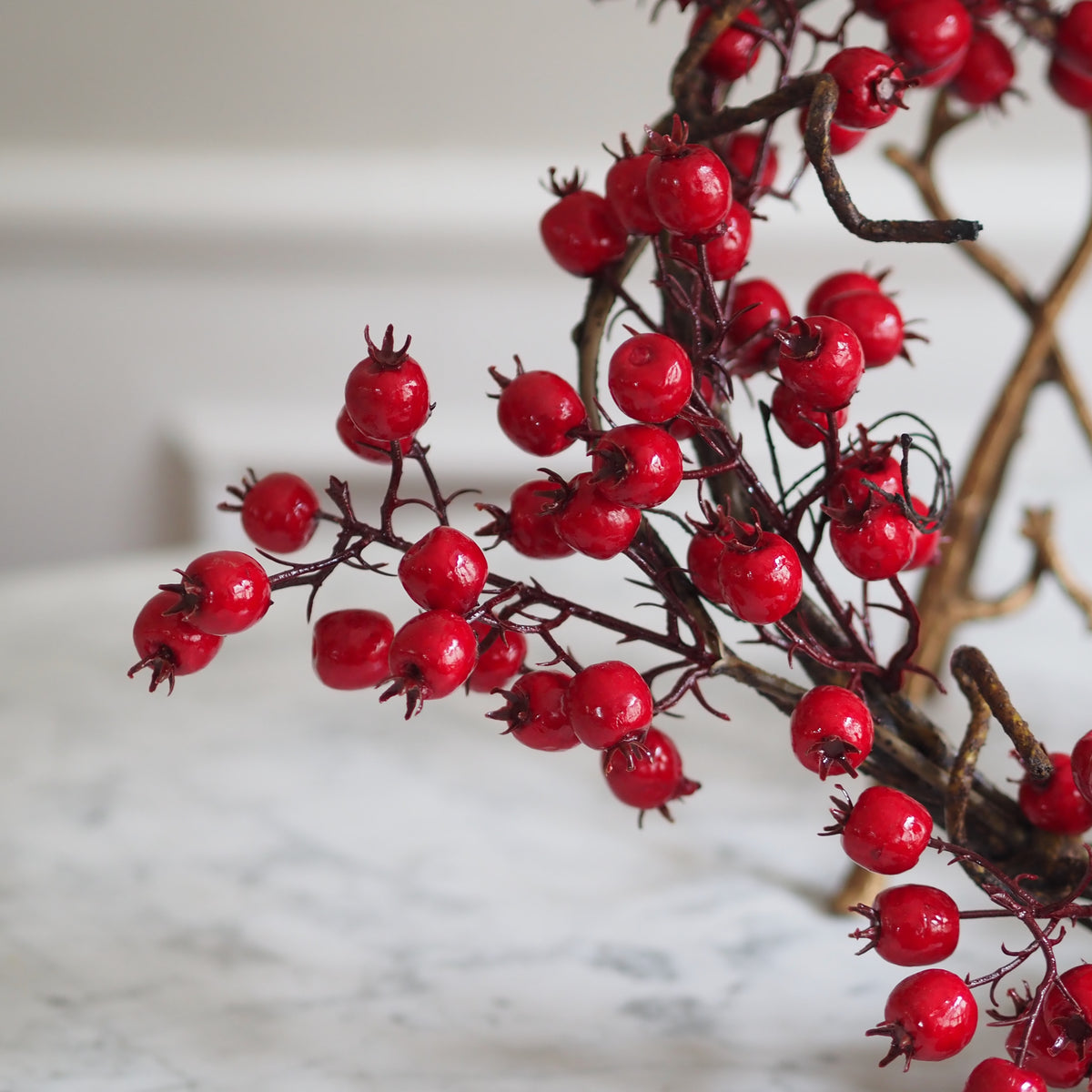 Beerenkranz Rot · Winterlicher Zweigring in Lackglanz