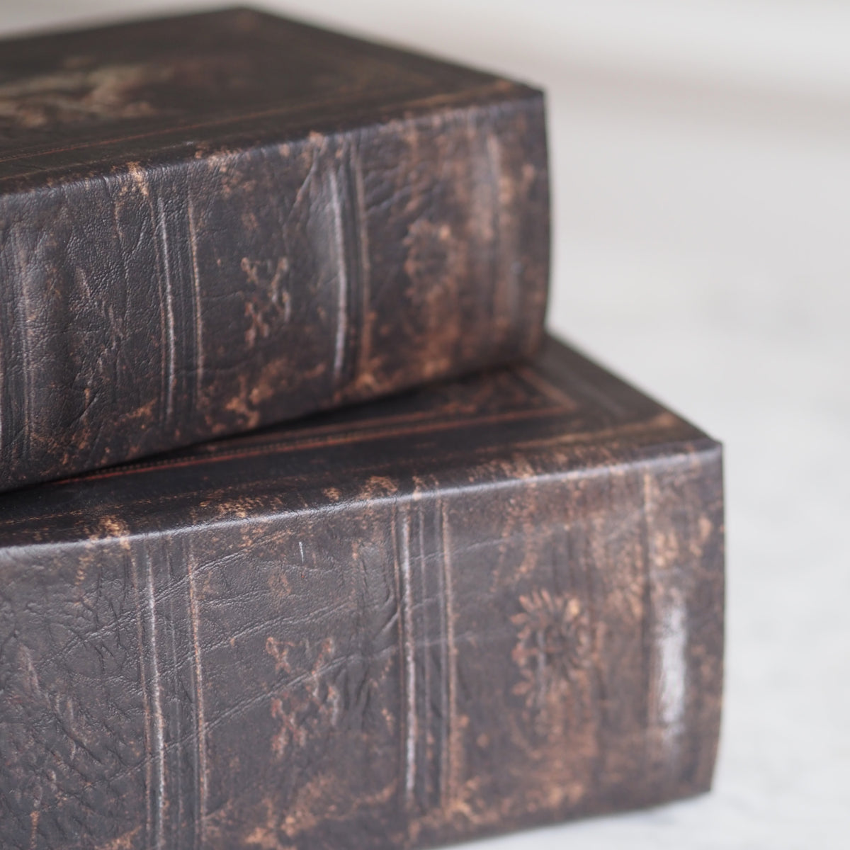 Buchbox 2er-Set · Historistischer Einband Frau-Kind-Motiv