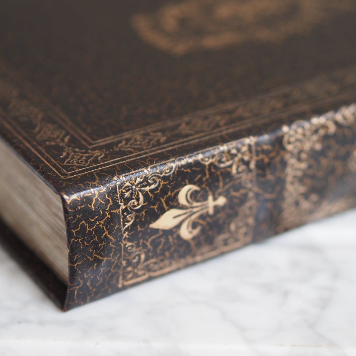 Buchbox Löwenwappen · Heraldischer Einband Schwarz Gold