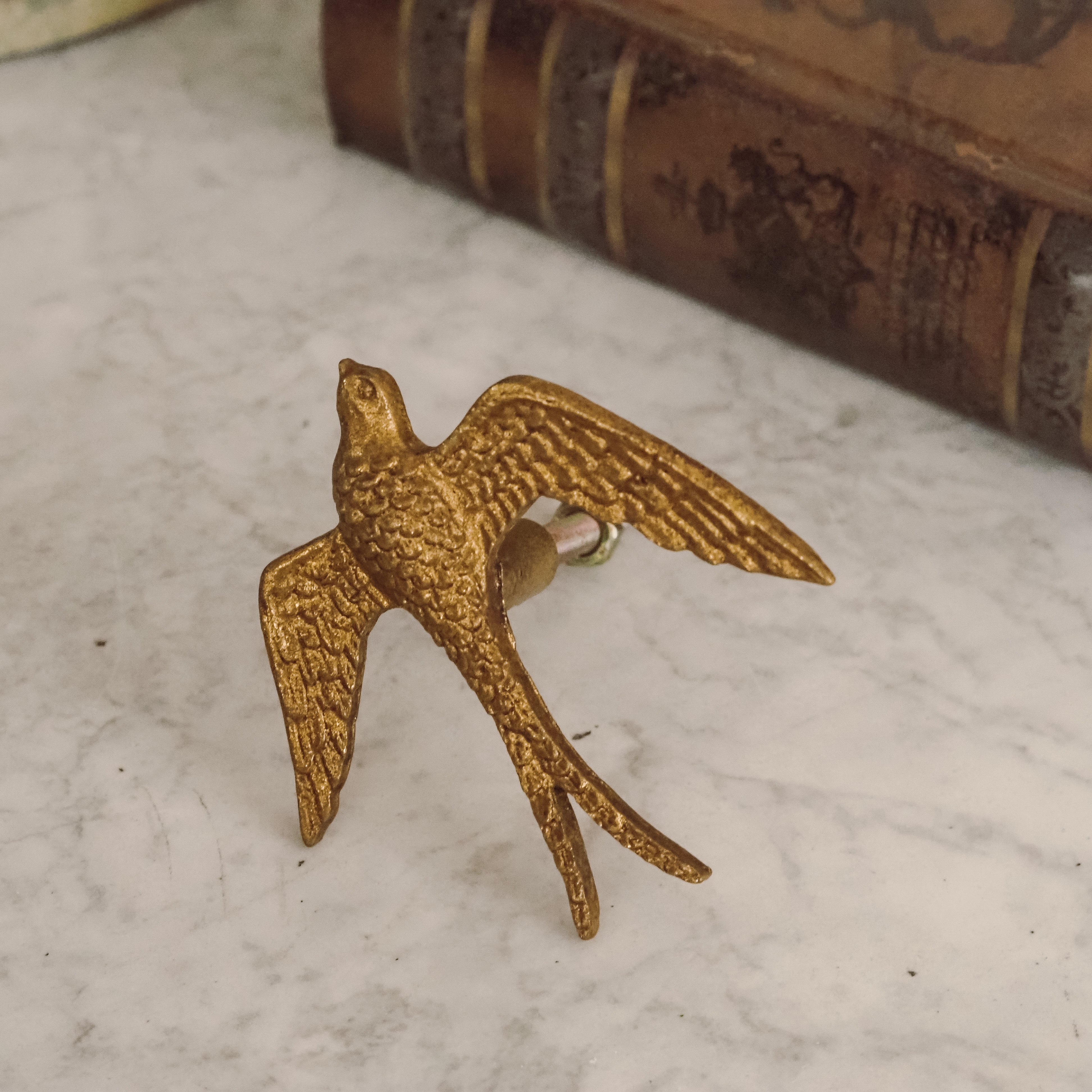 Möbelknopf Schwalbe · Goldfarbener Metallguss im Landhausstil