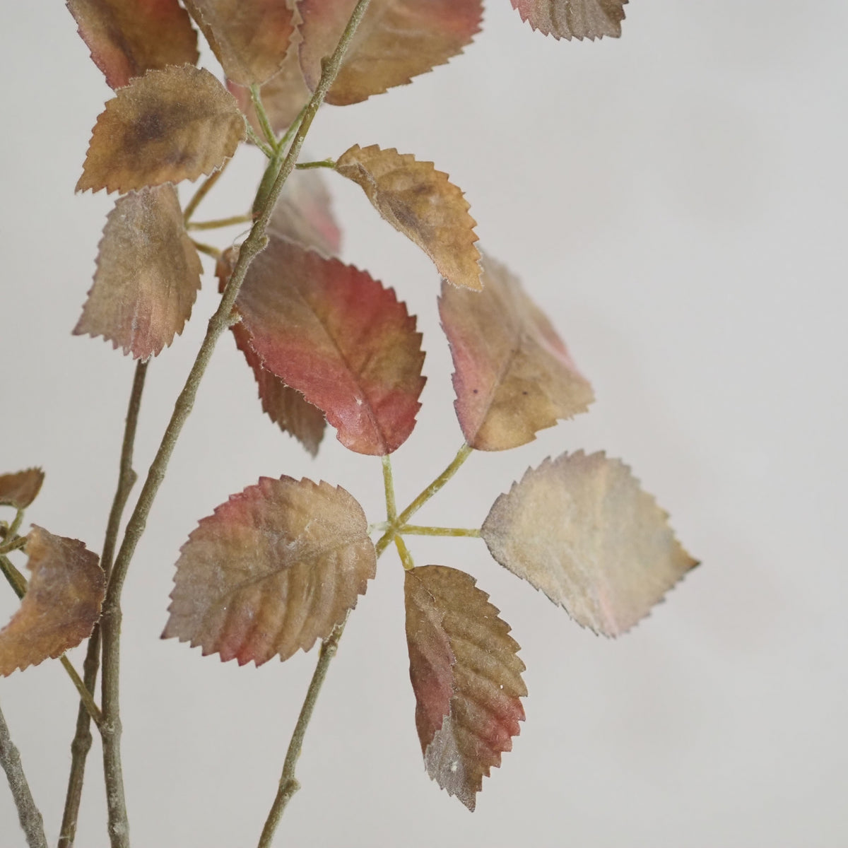 Rosenzweige Herbstlaub · 2er-Set Braun Grün Rosé Landhaus