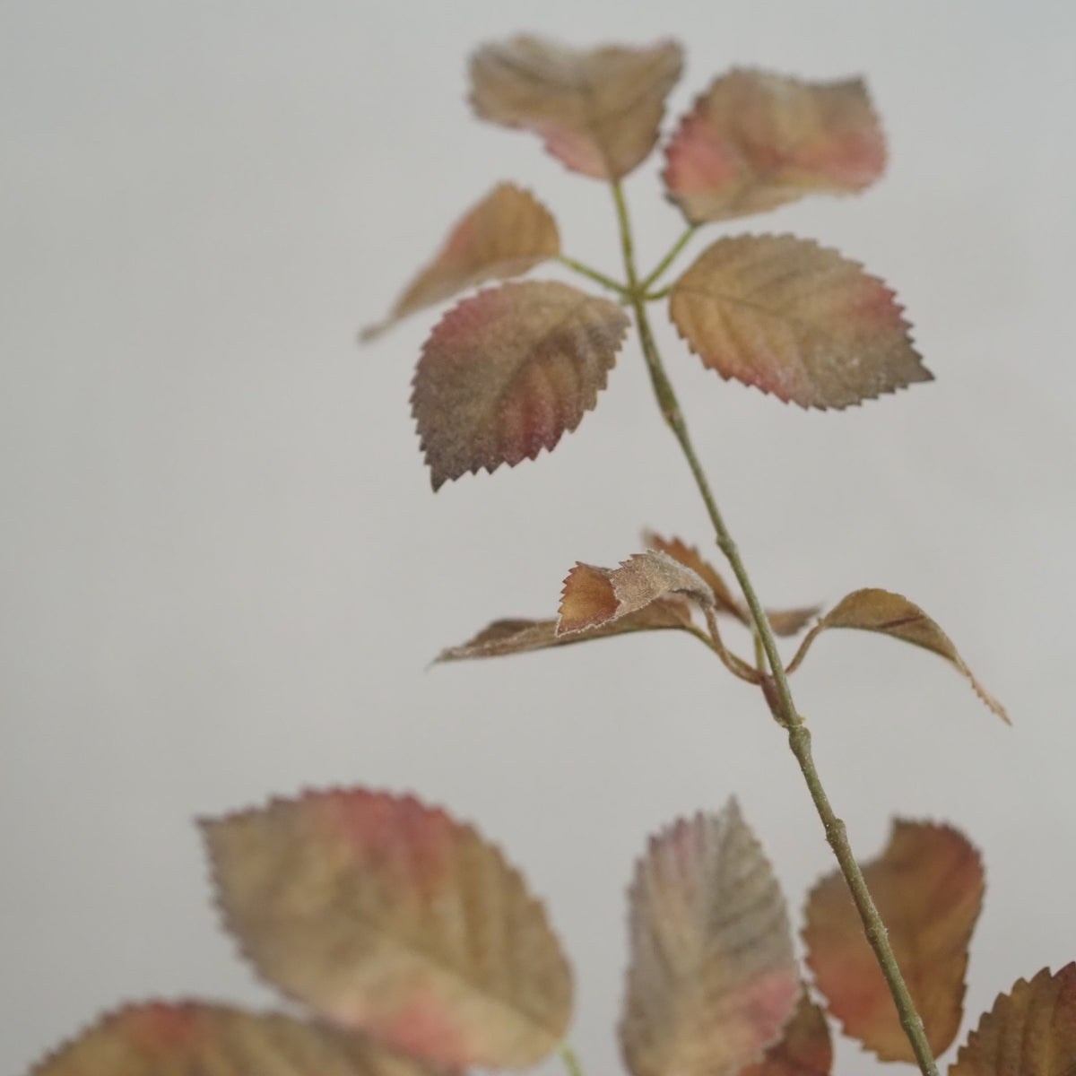 Rosenzweige Herbstlaub · 2er-Set Braun Grün Rosé Landhaus