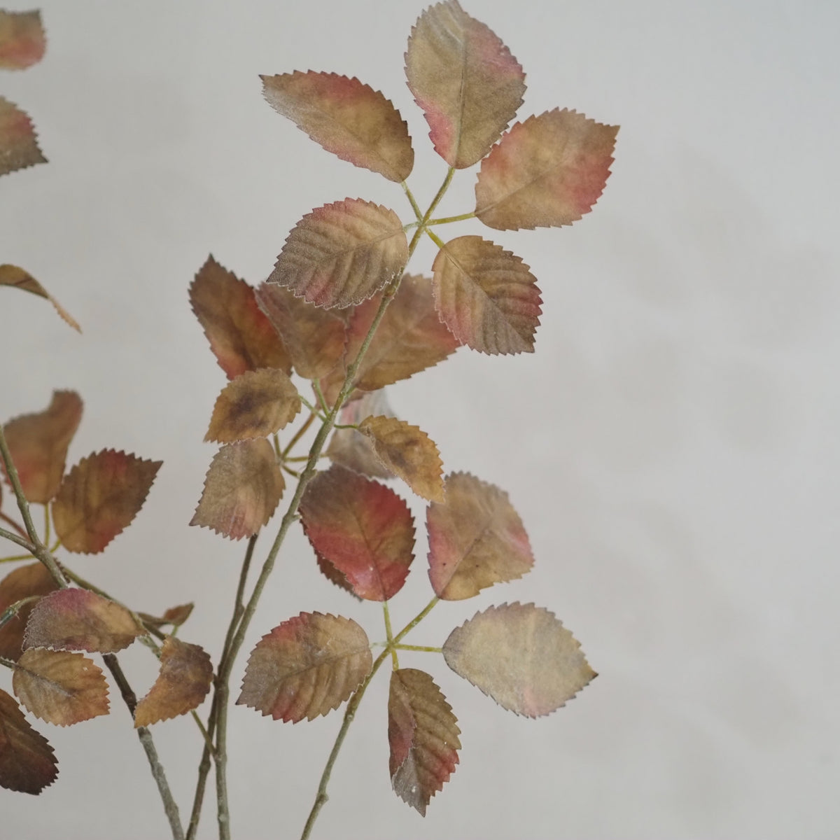 Rosenzweige Herbstlaub · 2er-Set Braun Grün Rosé Landhaus
