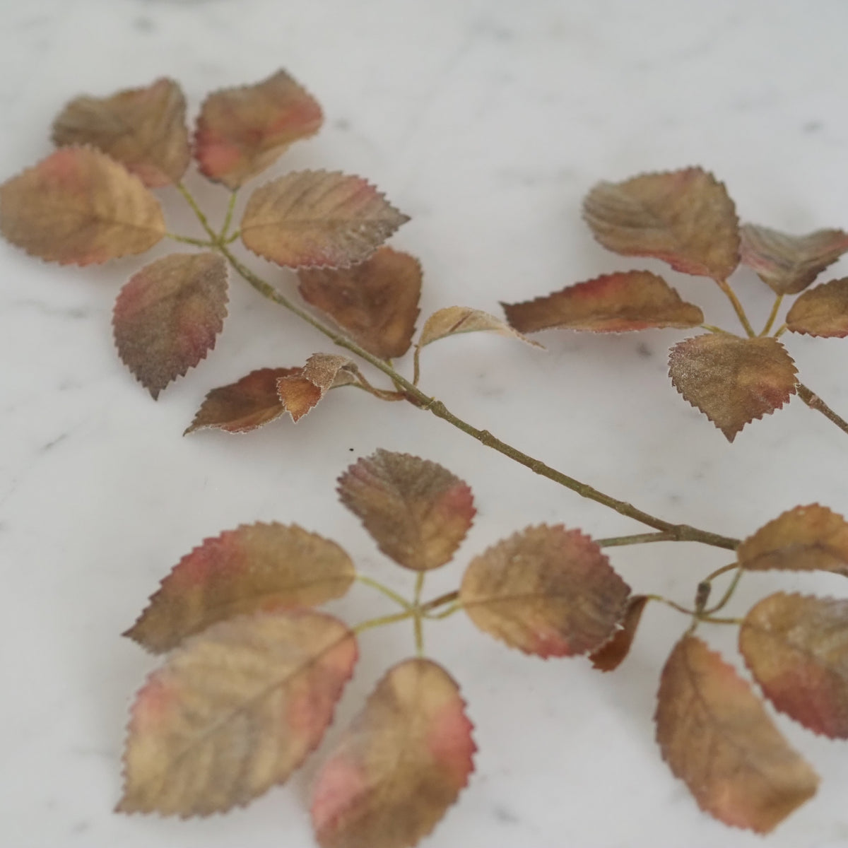 Rosenzweige Herbstlaub · 2er-Set Braun Grün Rosé Landhaus