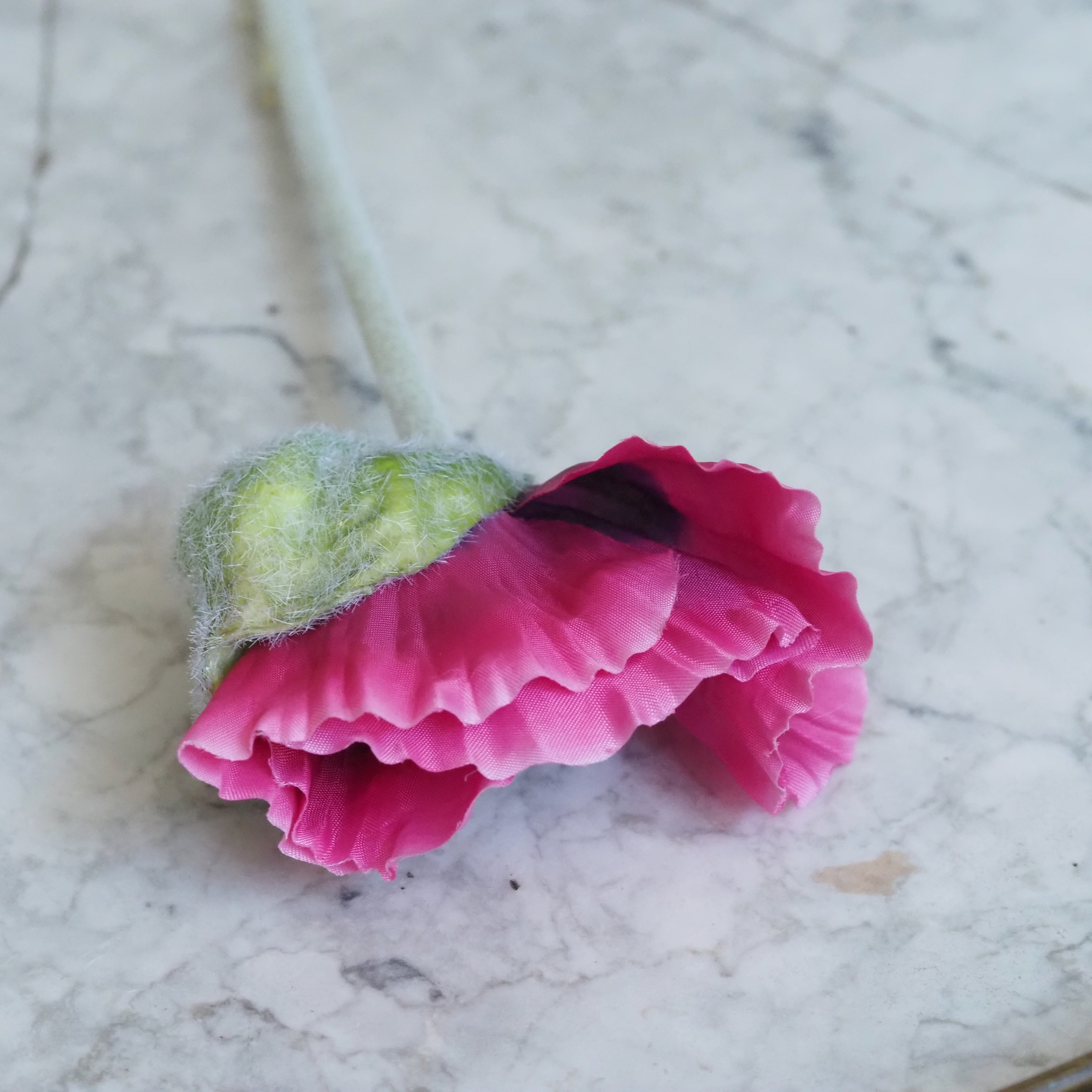 Mohn-Stiel Pink · Blume mit gefälteltem Blütenblatt, 2er Set
