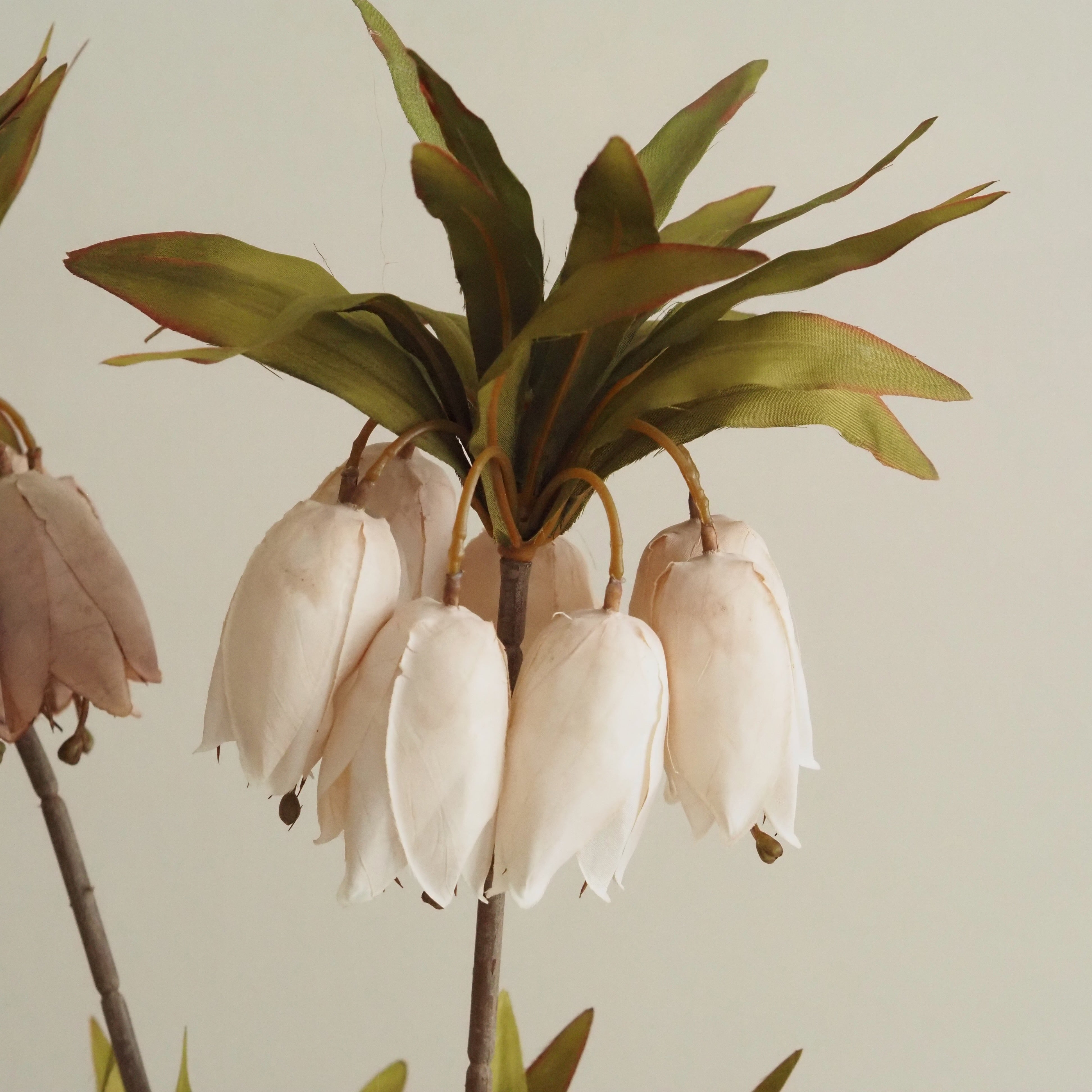 Fritillaria-Stiel [OFFWHITE / BRAUN] · Hängende Glockenblüten mit Blattkrone, 77 cm