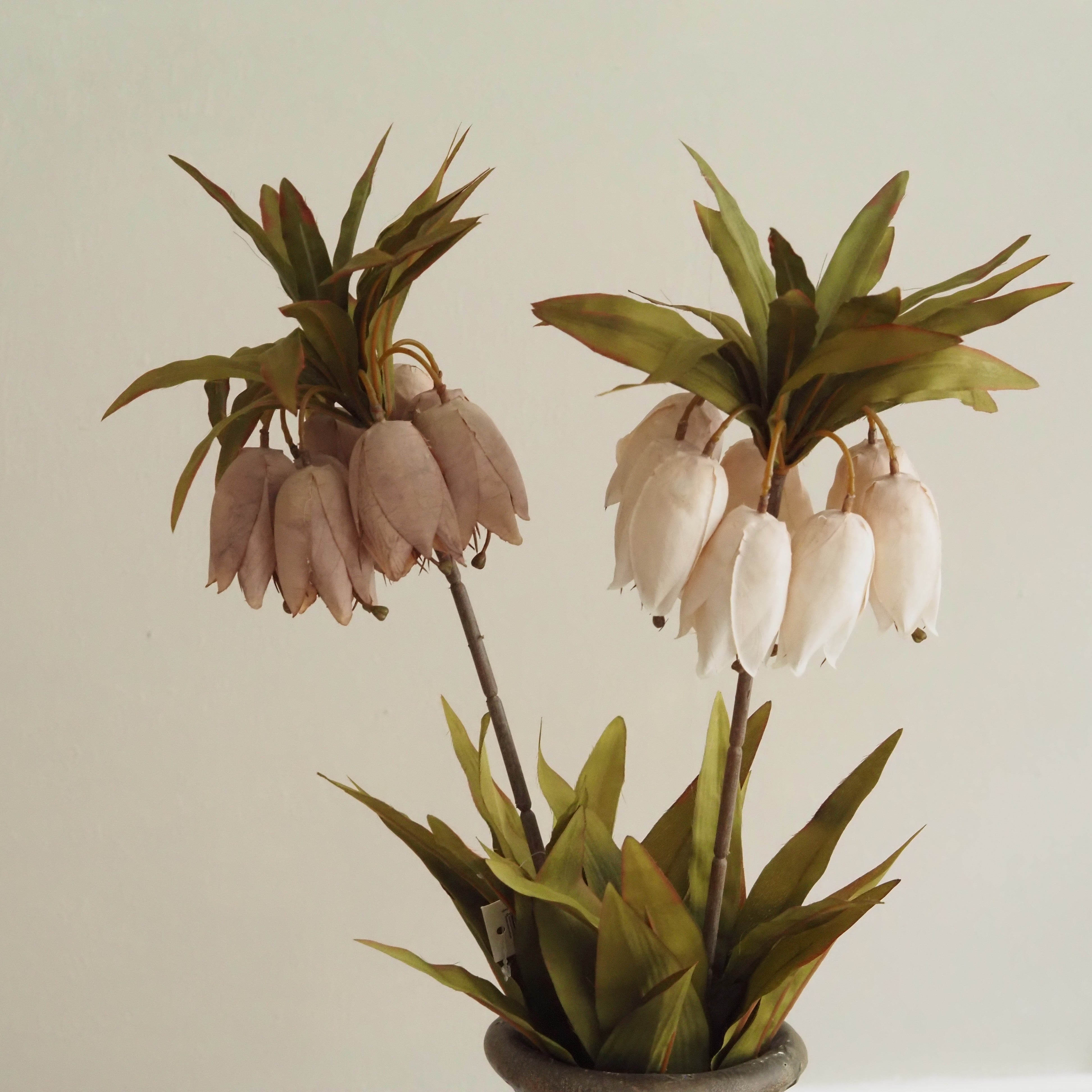 Fritillaria-Stiel [OFFWHITE / BRAUN] · Hängende Glockenblüten mit Blattkrone, 77 cm