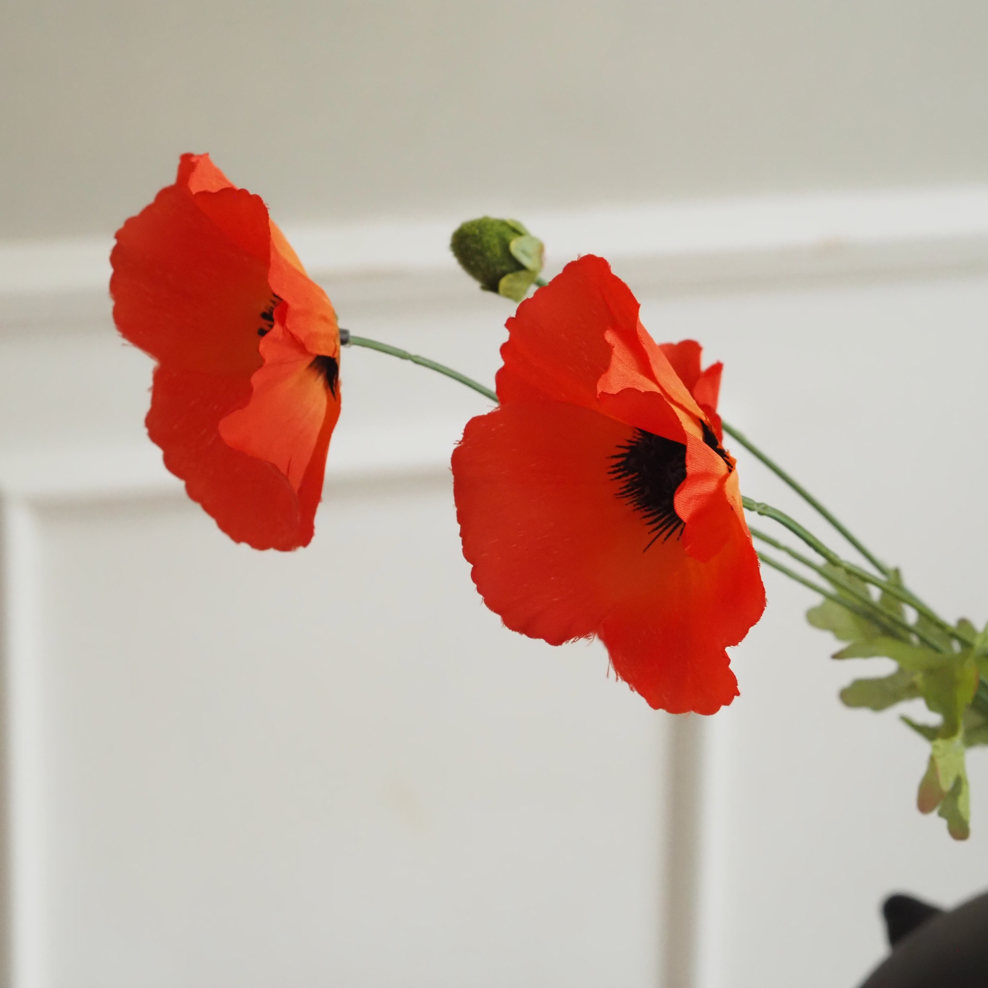 Mohn-Zweig Orangerot · Drei Blüten und Knospe in Seidenoptik, 63 cm