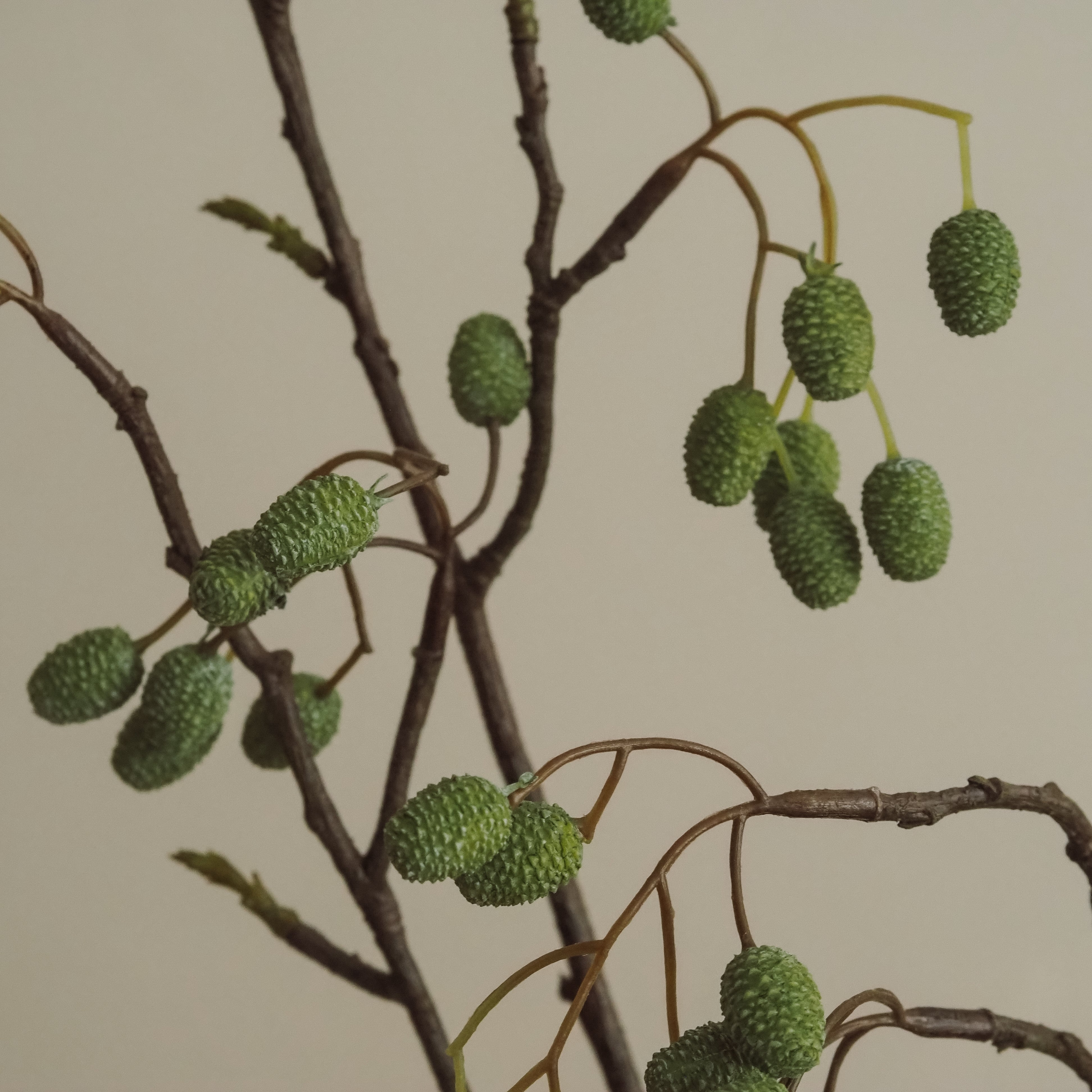 Weidenkätzchenzweig 95 cm · Naturalistische Zweigdekoration in Grün