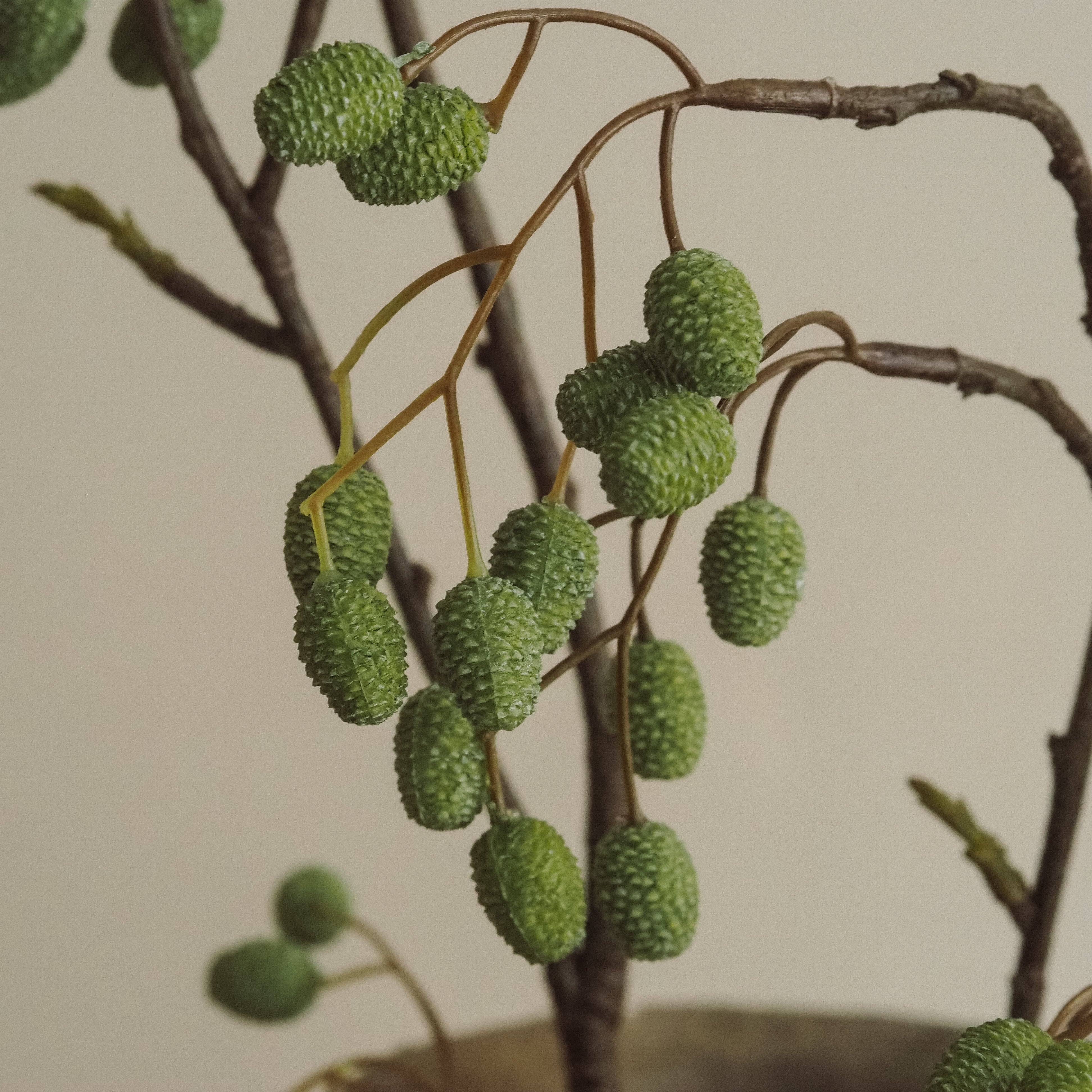 Weidenkätzchenzweig 95 cm · Naturalistische Zweigdekoration in Grün