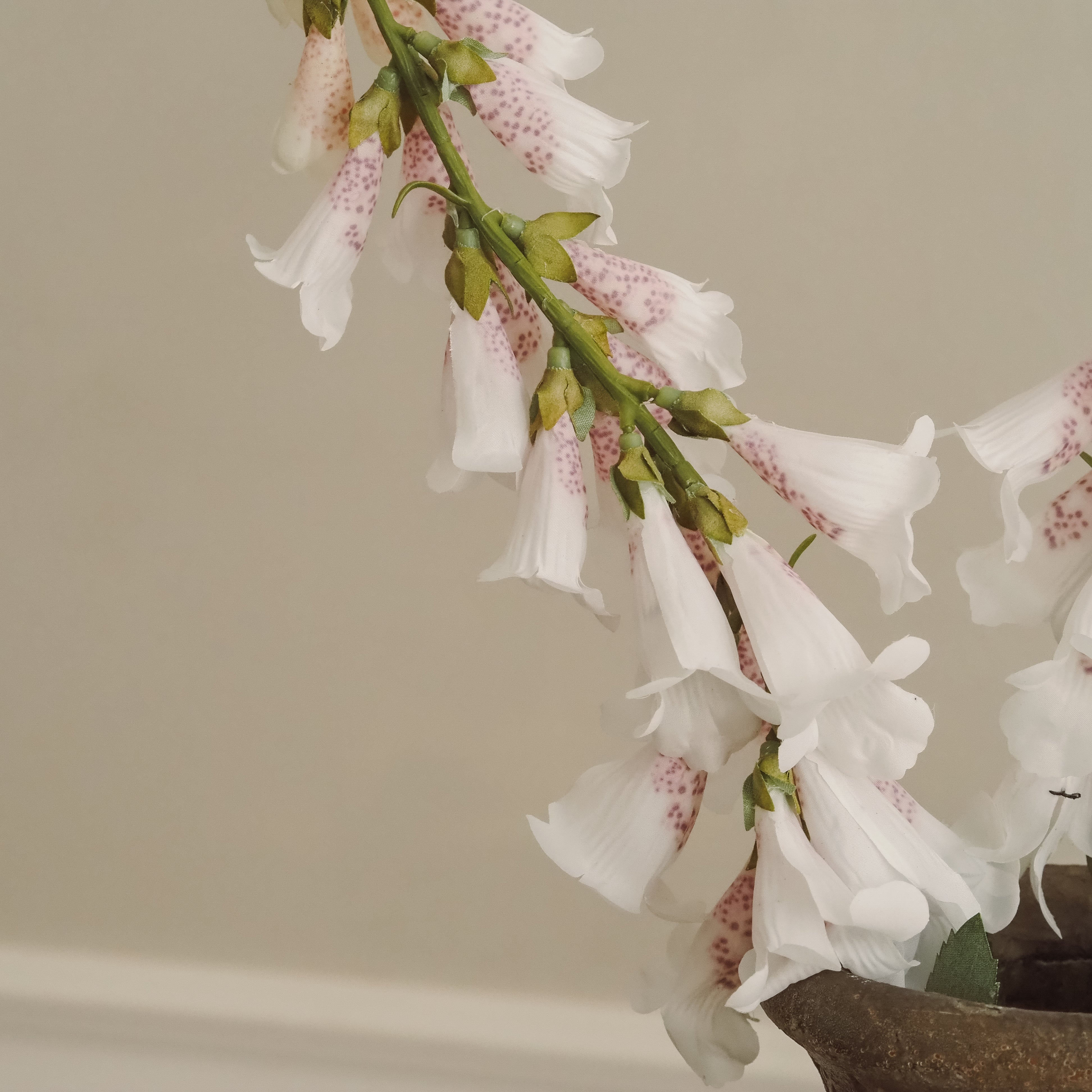 Fingerhut-Stiel Weiß · Gesprenkelte Glockenblüten im Landhausstil, 89 cm