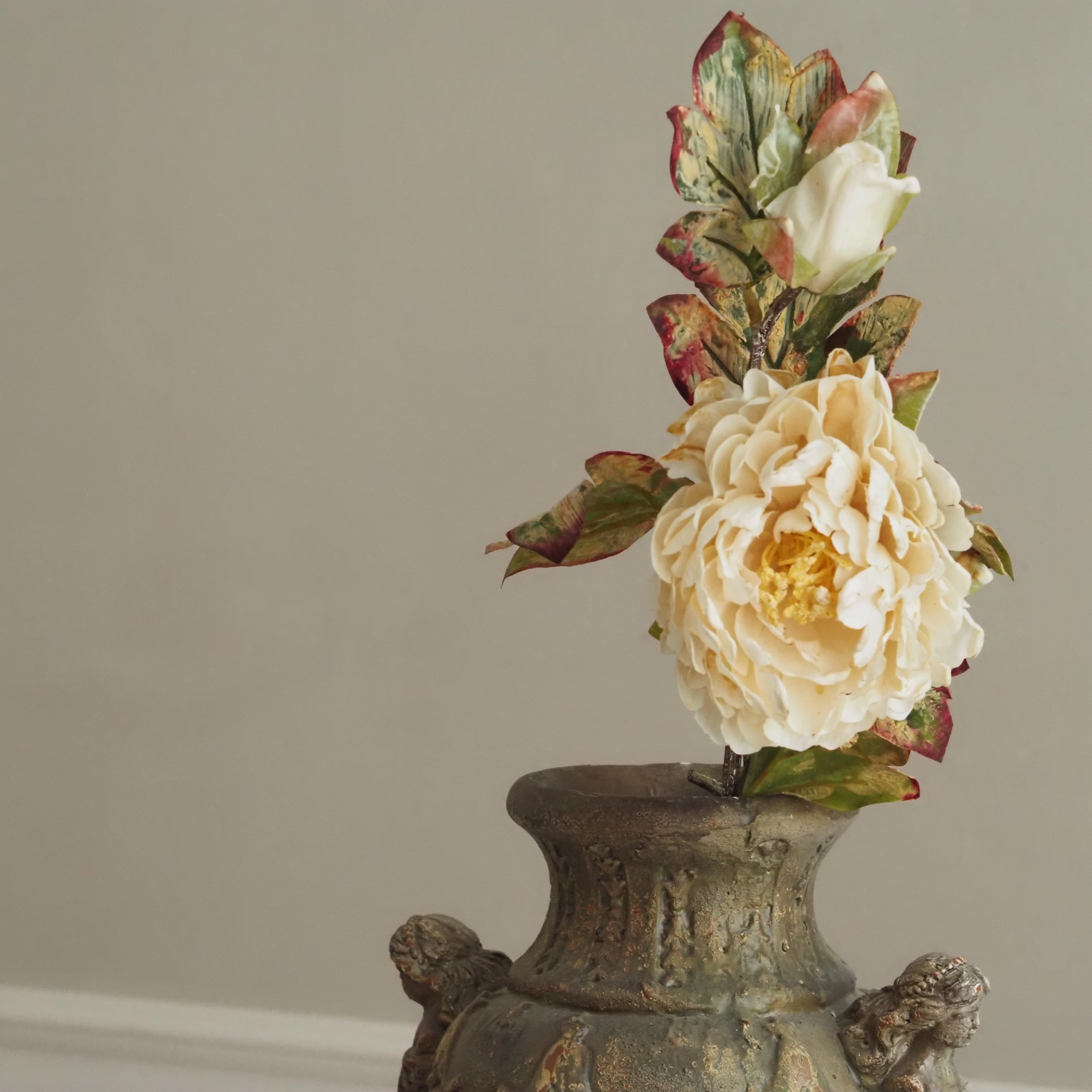 Pfingstrosenzweig Champagner · Blüte und Knospe in Cottage-Garten-Optik