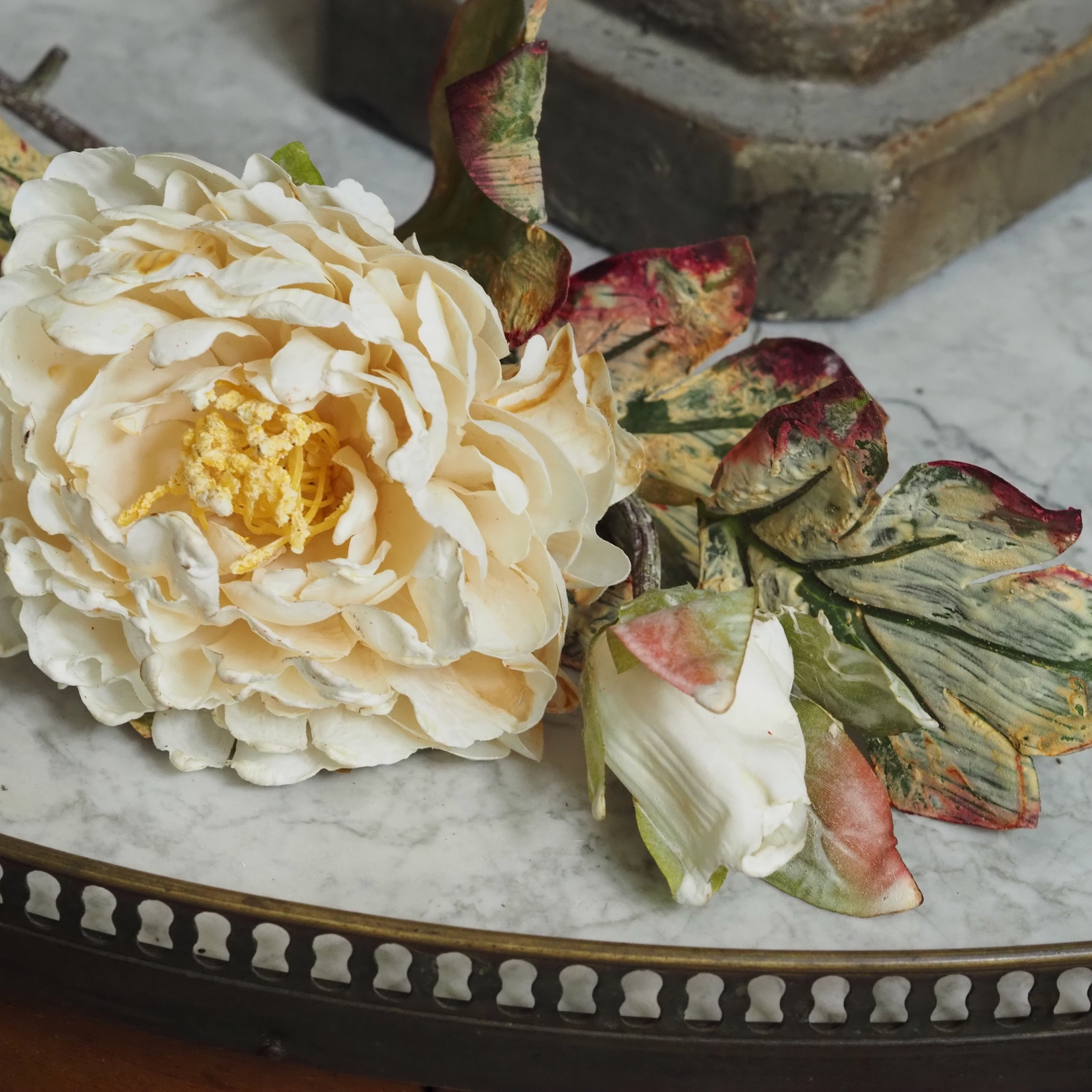 Pfingstrosenzweig Champagner · Blüte und Knospe in Cottage-Garten-Optik