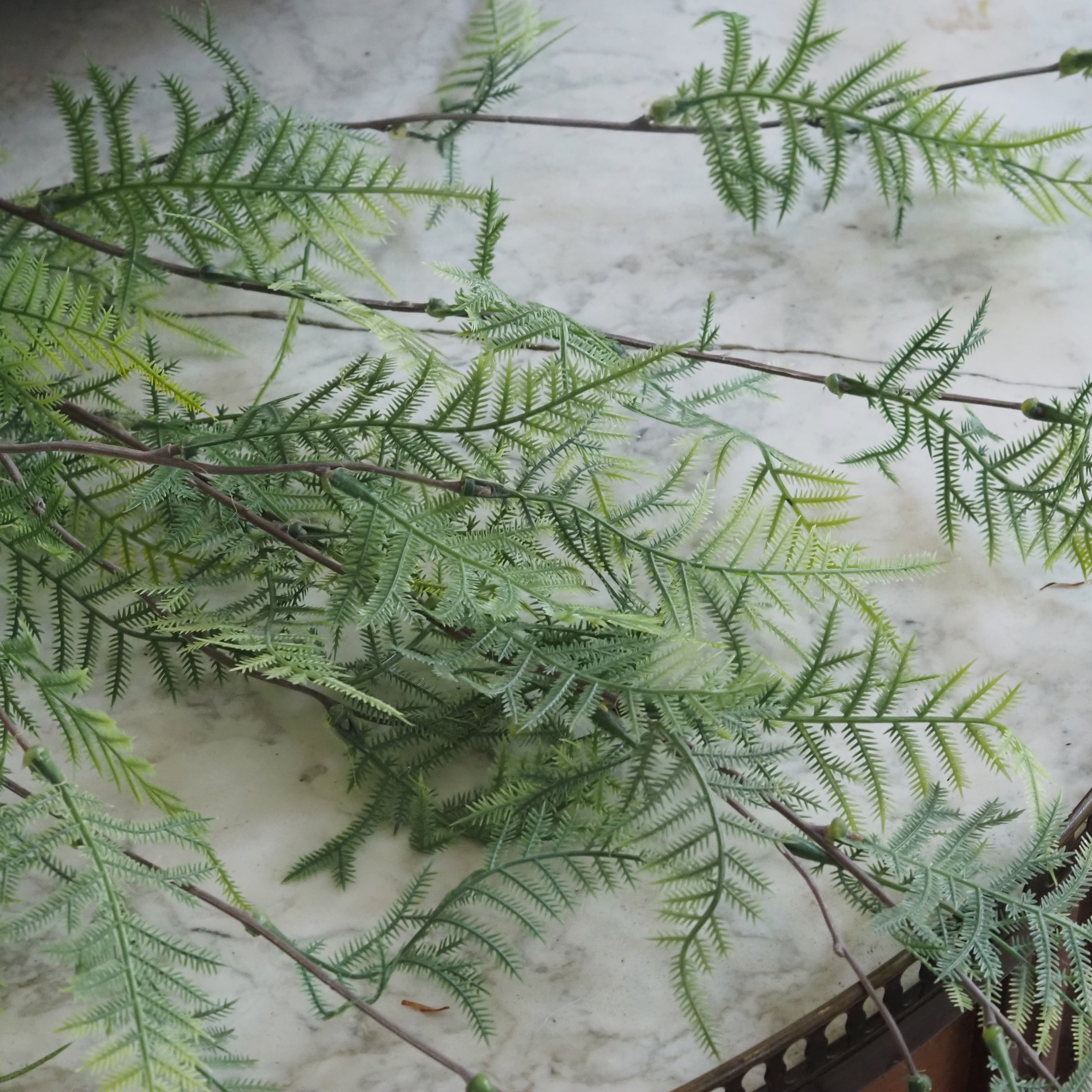 Farn Hänger · botanisch inspirierter Dekozweig