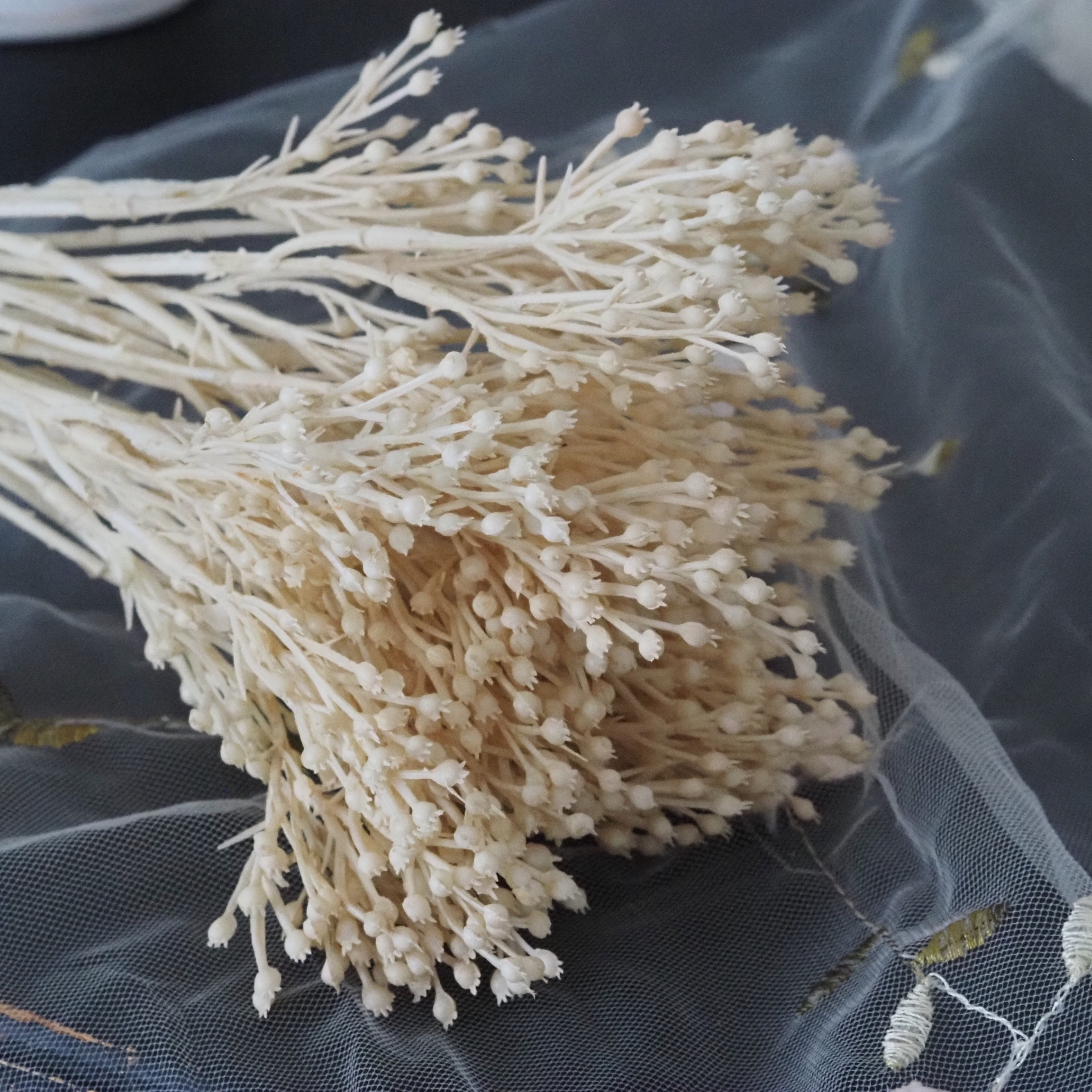 Beerenzweig · dekorativer Zweig in Creme