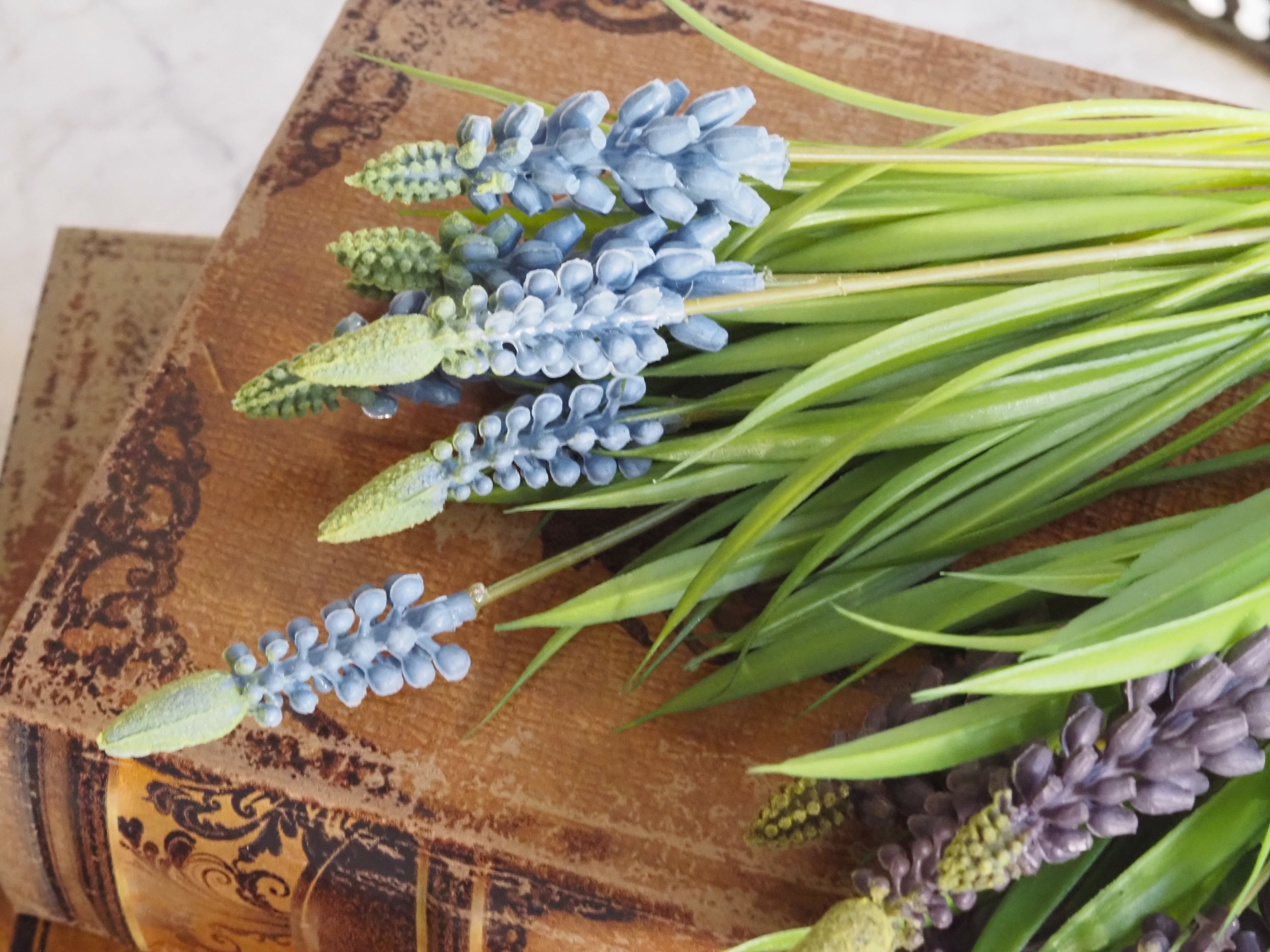 Muscari Busch · Traubenhyazinthe Dekozweig