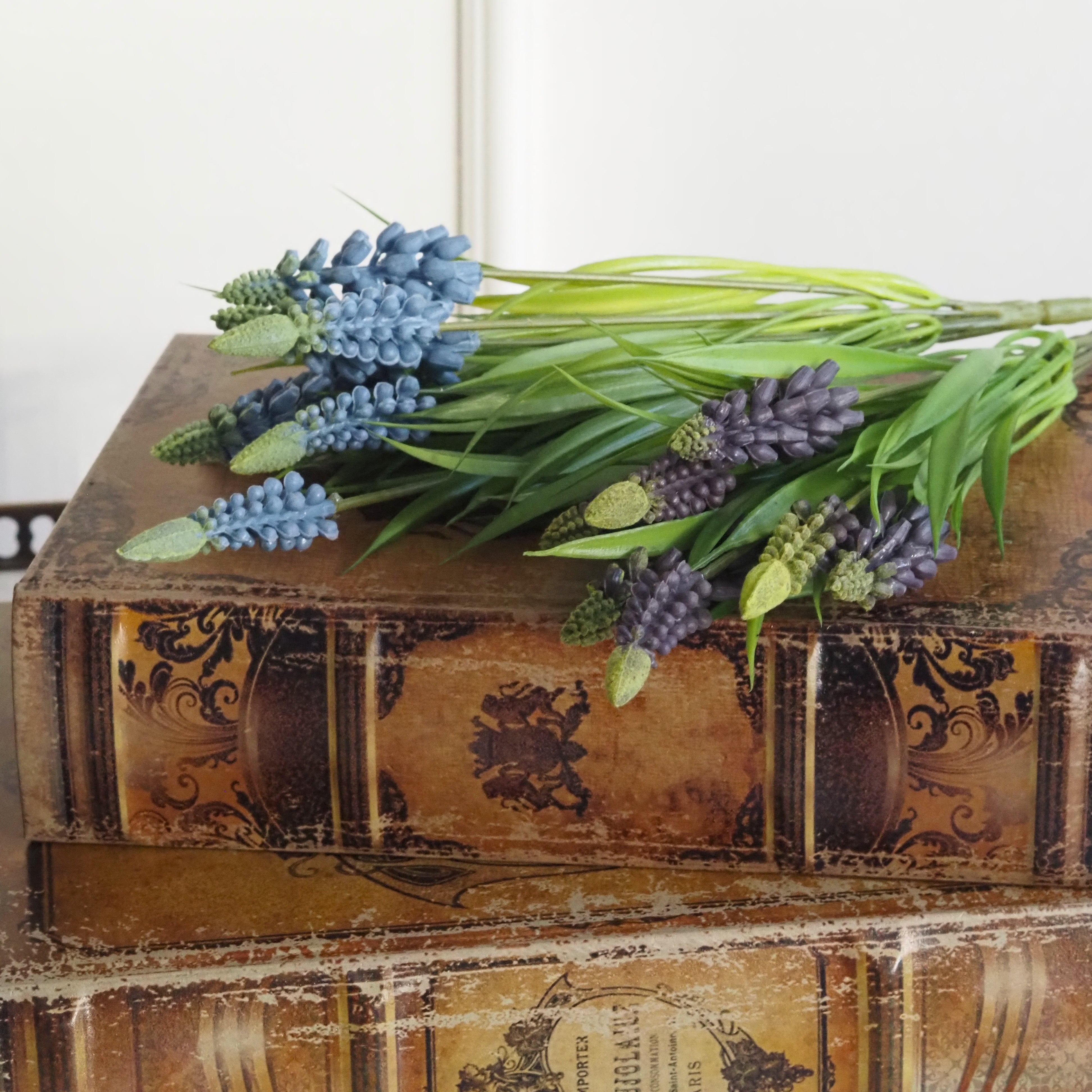 Muscari Busch · Traubenhyazinthe Dekozweig