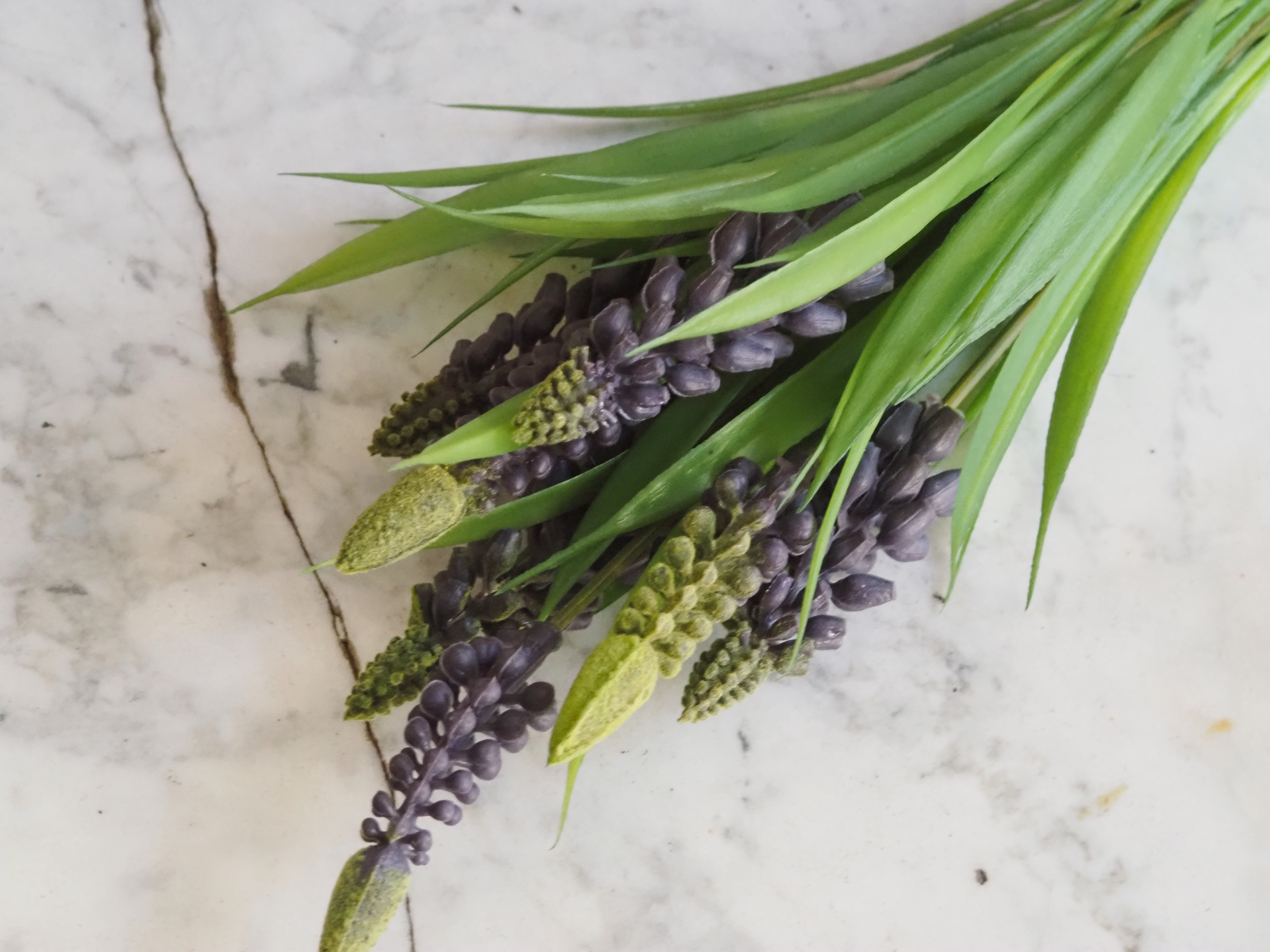 Muscari Busch · Traubenhyazinthe Dekozweig