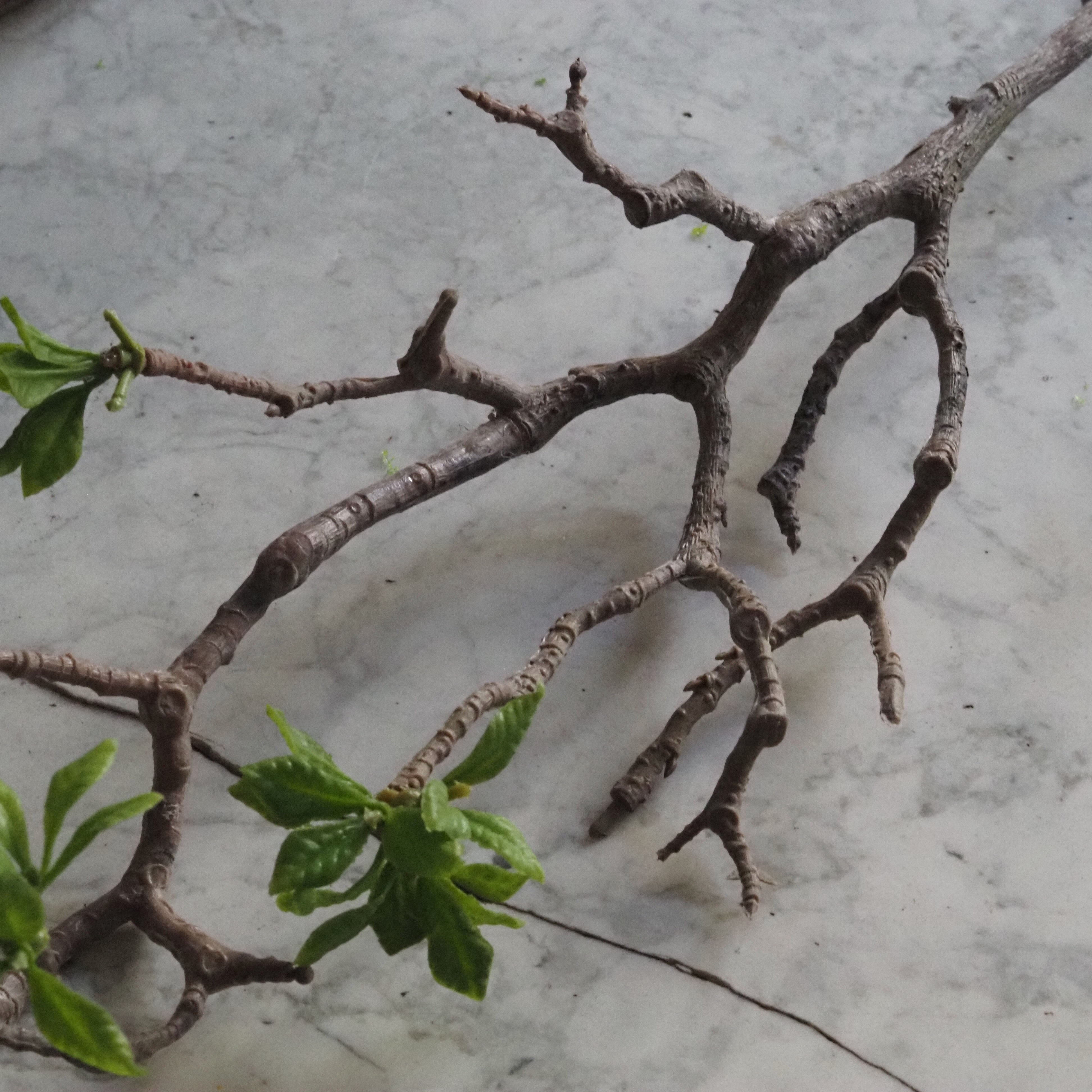 Magnolienzweig grün · botanisch inspirierter Dekorationszweig, Frühlingsdeko