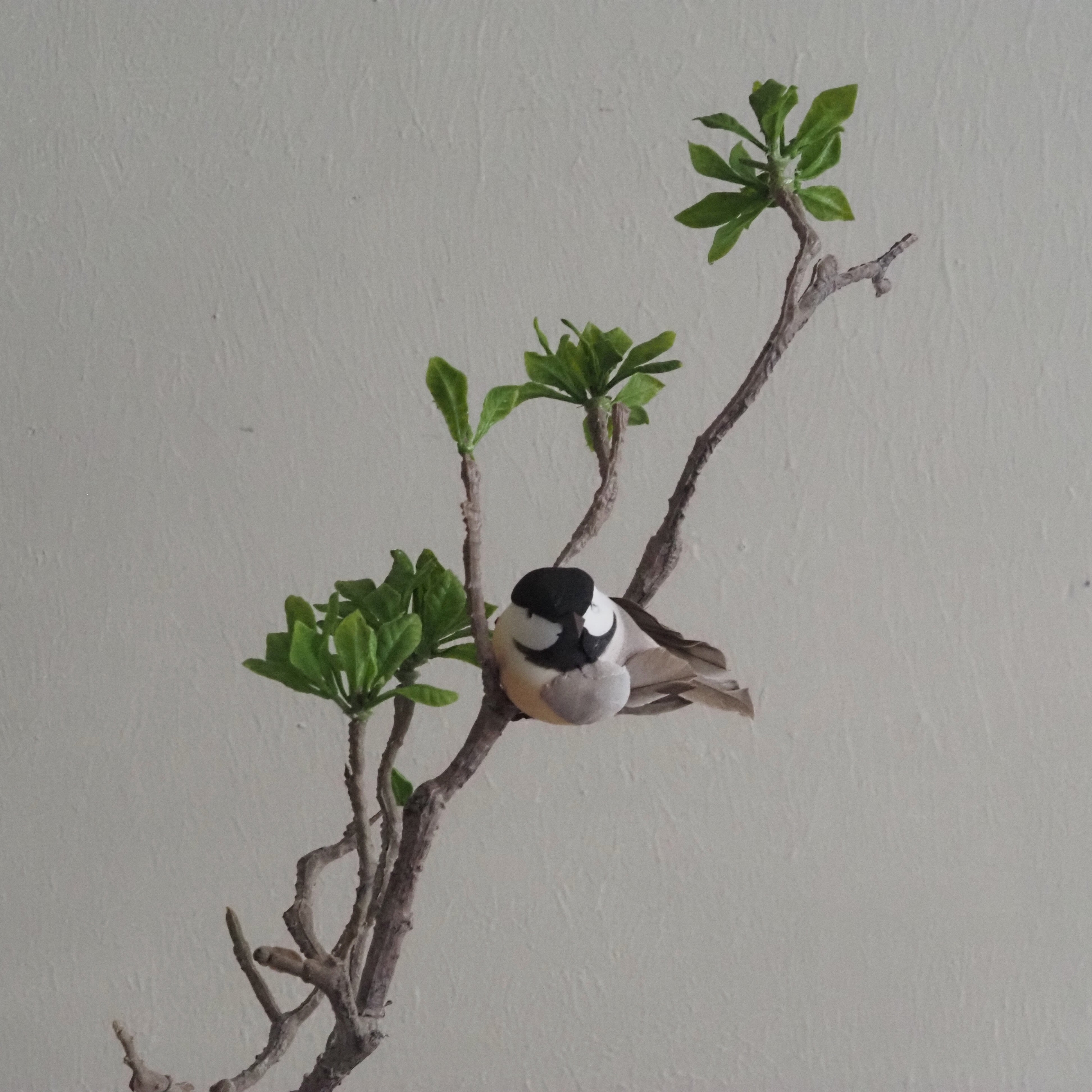 Magnolienzweig grün · botanisch inspirierter Dekorationszweig, Frühlingsdeko
