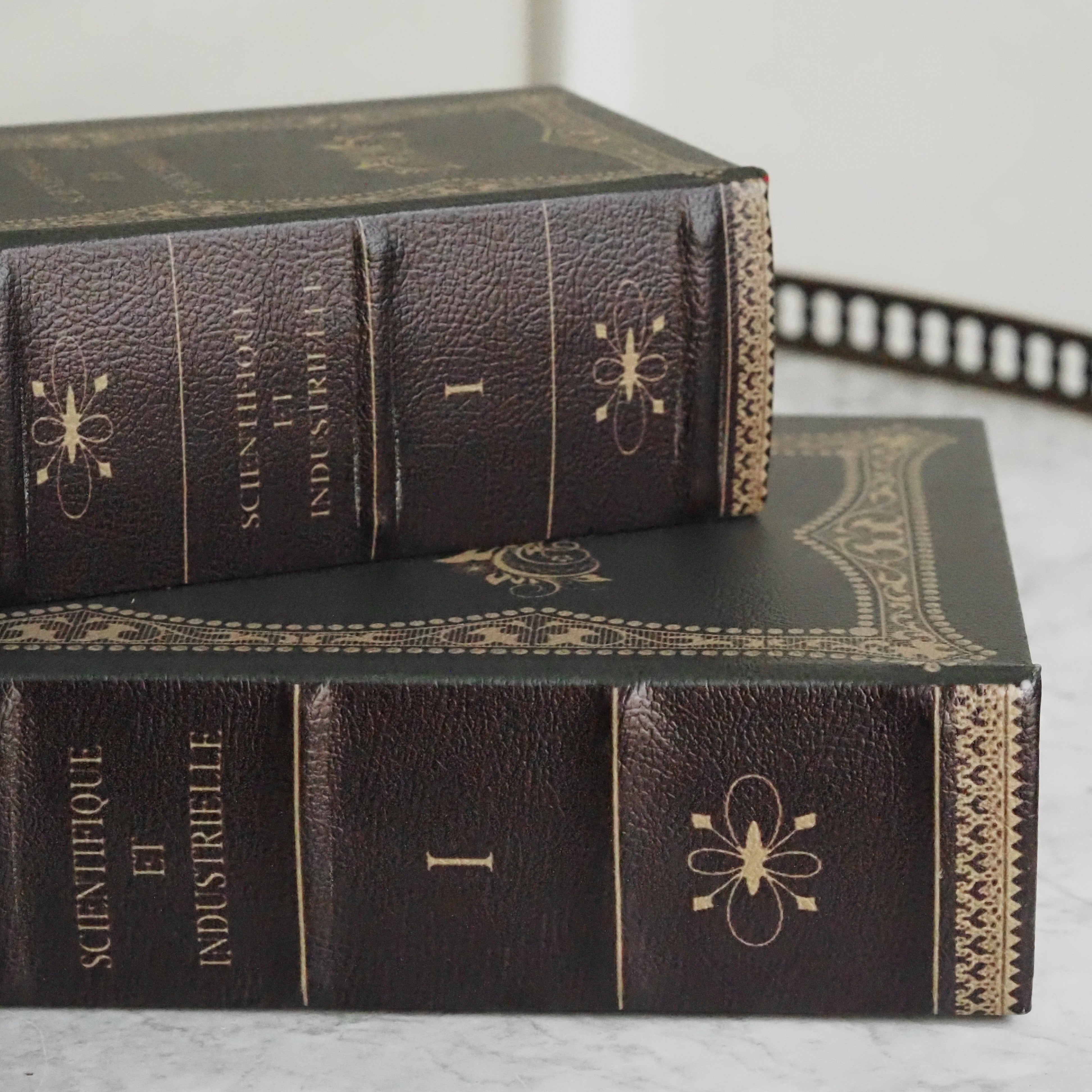Aufbewahrungsbox in Buchform · Lederoptik mit klassischer Einbandprägung „Scientifique et Industrielle"