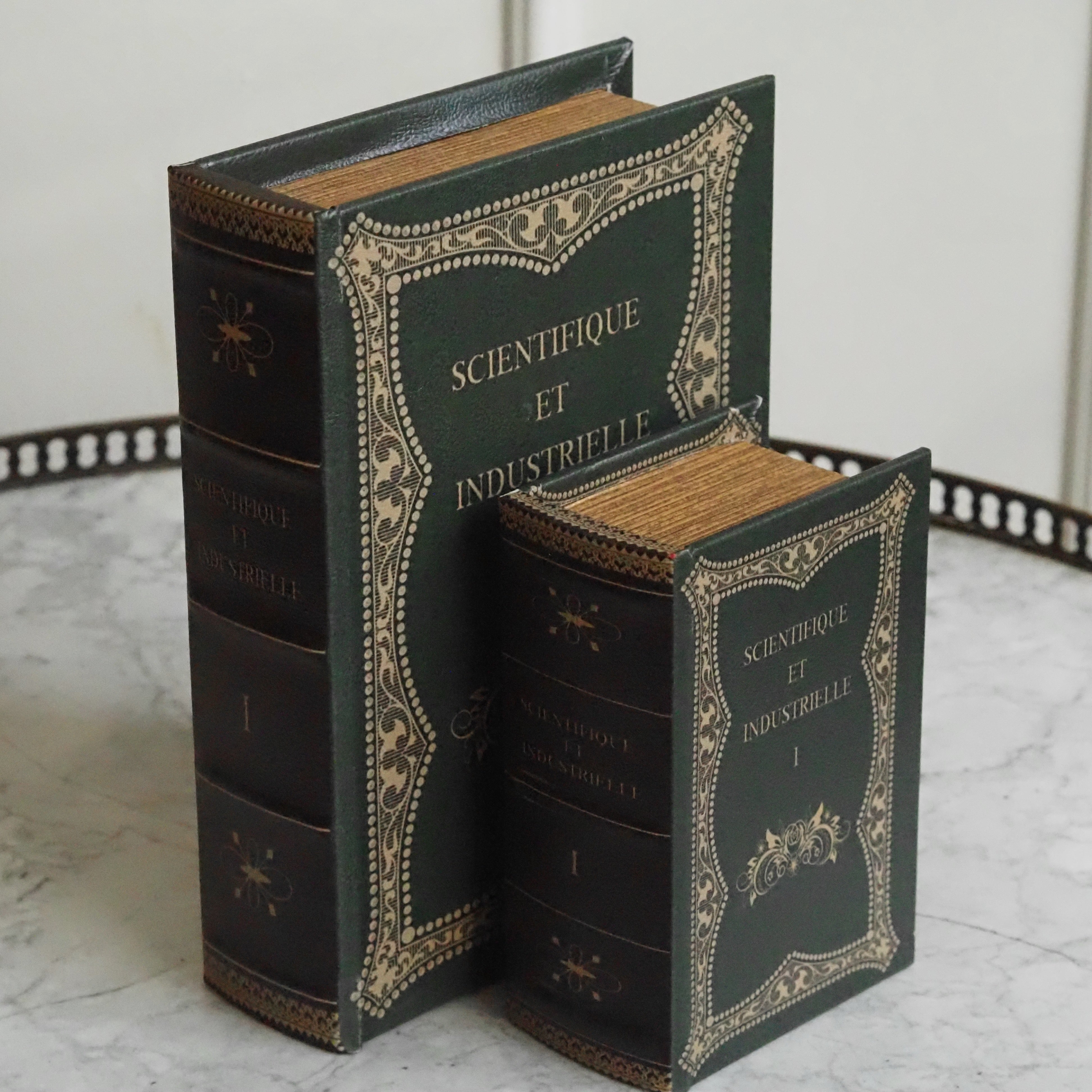 Aufbewahrungsbox in Buchform · Lederoptik mit klassischer Einbandprägung „Scientifique et Industrielle"