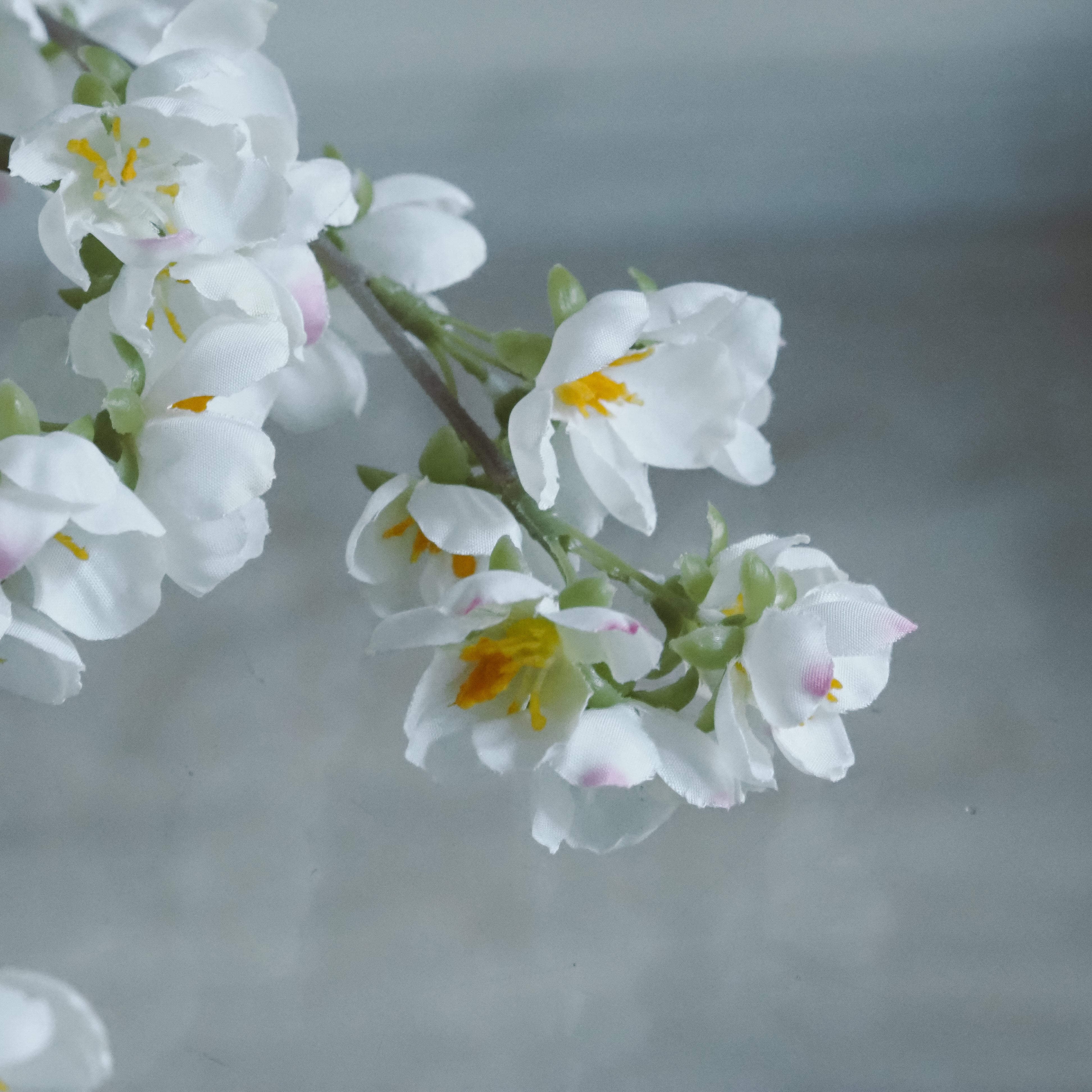 Blütenzweig · Kirschblüten-Interpretation / florales Dekorobjekt