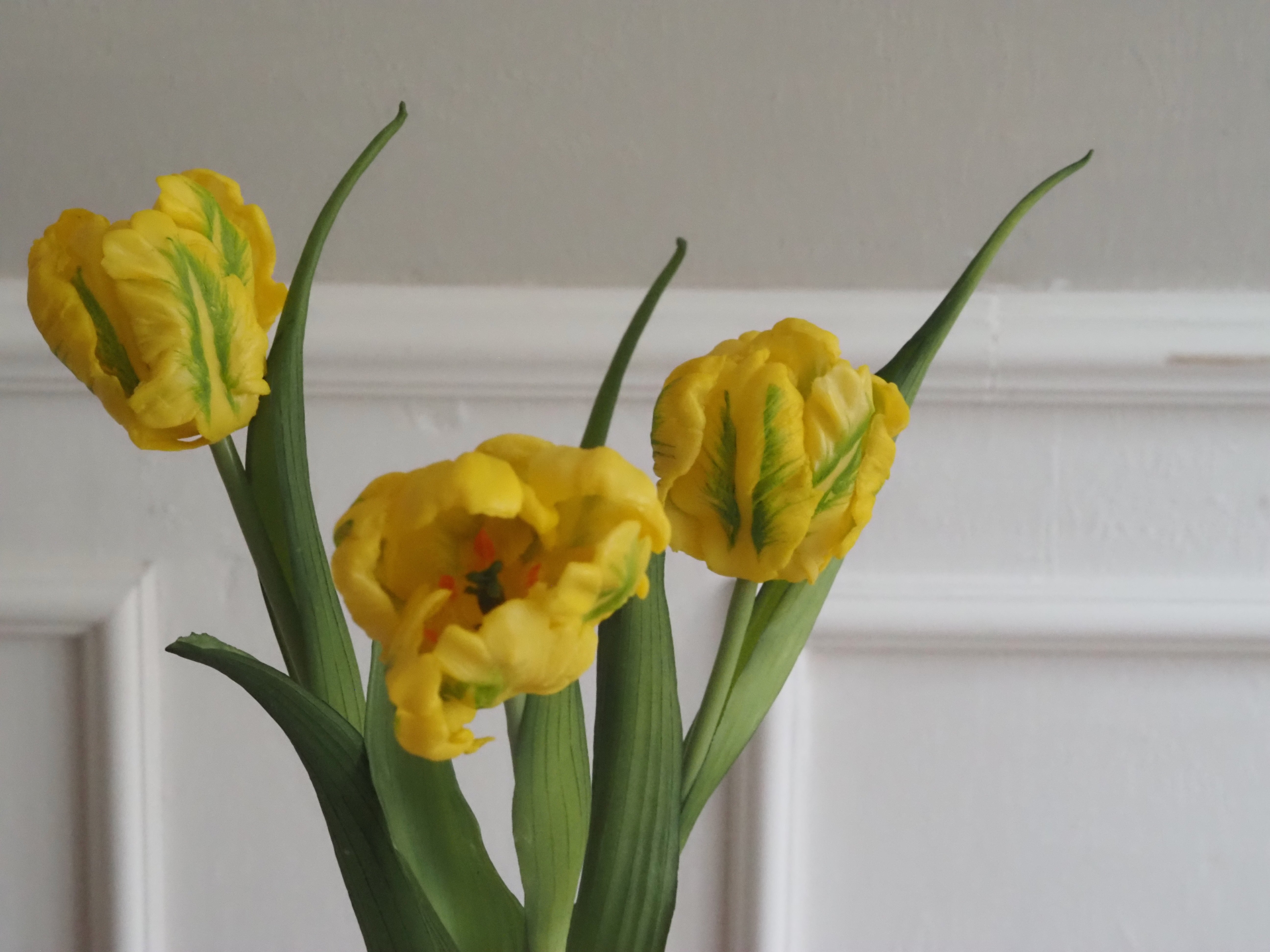 Papagei-Tulpenbund · künstlicher Tulpenzweig